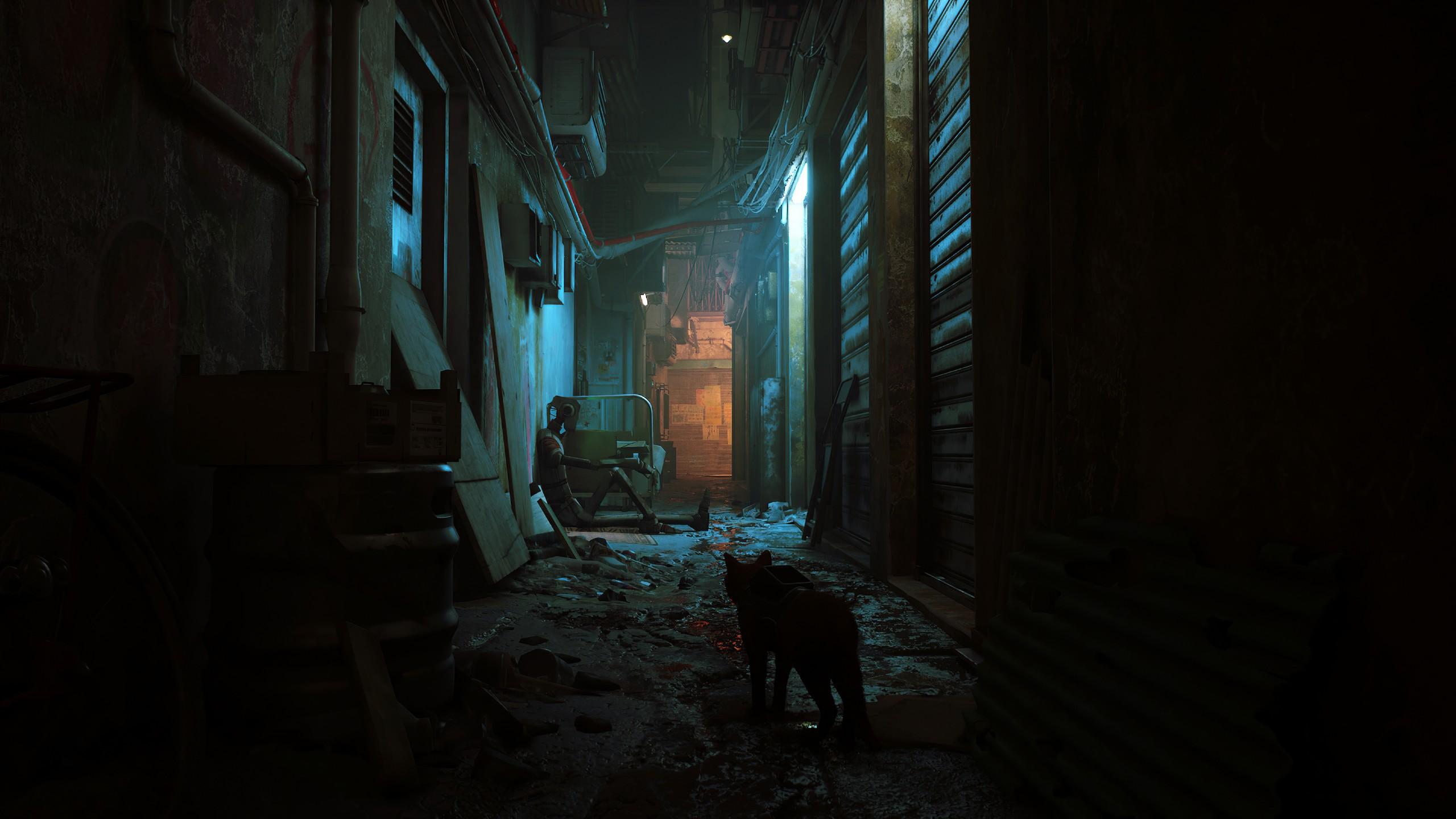 2560x1440 Wallpaper Stray, screenshot, gameplay, PlayStation PS 8K, Games