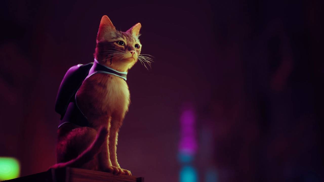 1280x720 Stray Accessories Releasing With Game Launch. The Nerd Stash
