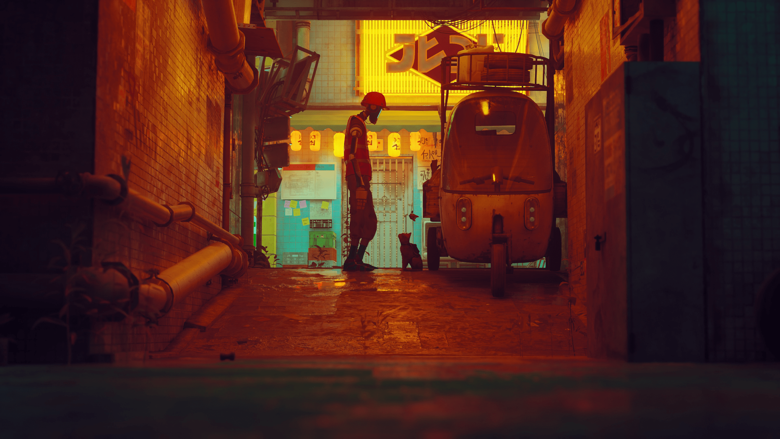 2560x1440 Stray HD Wallpaper and Background