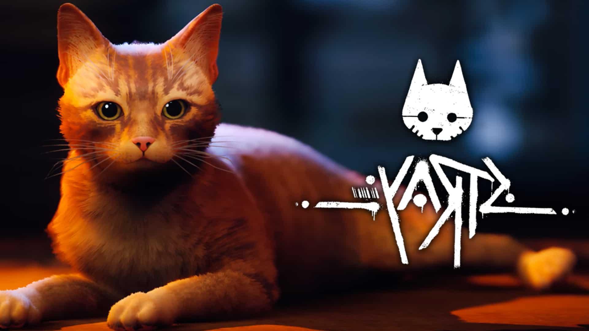 Stray Game Wallpapers - Top Free Stray Game Backgrounds - WallpaperAccess