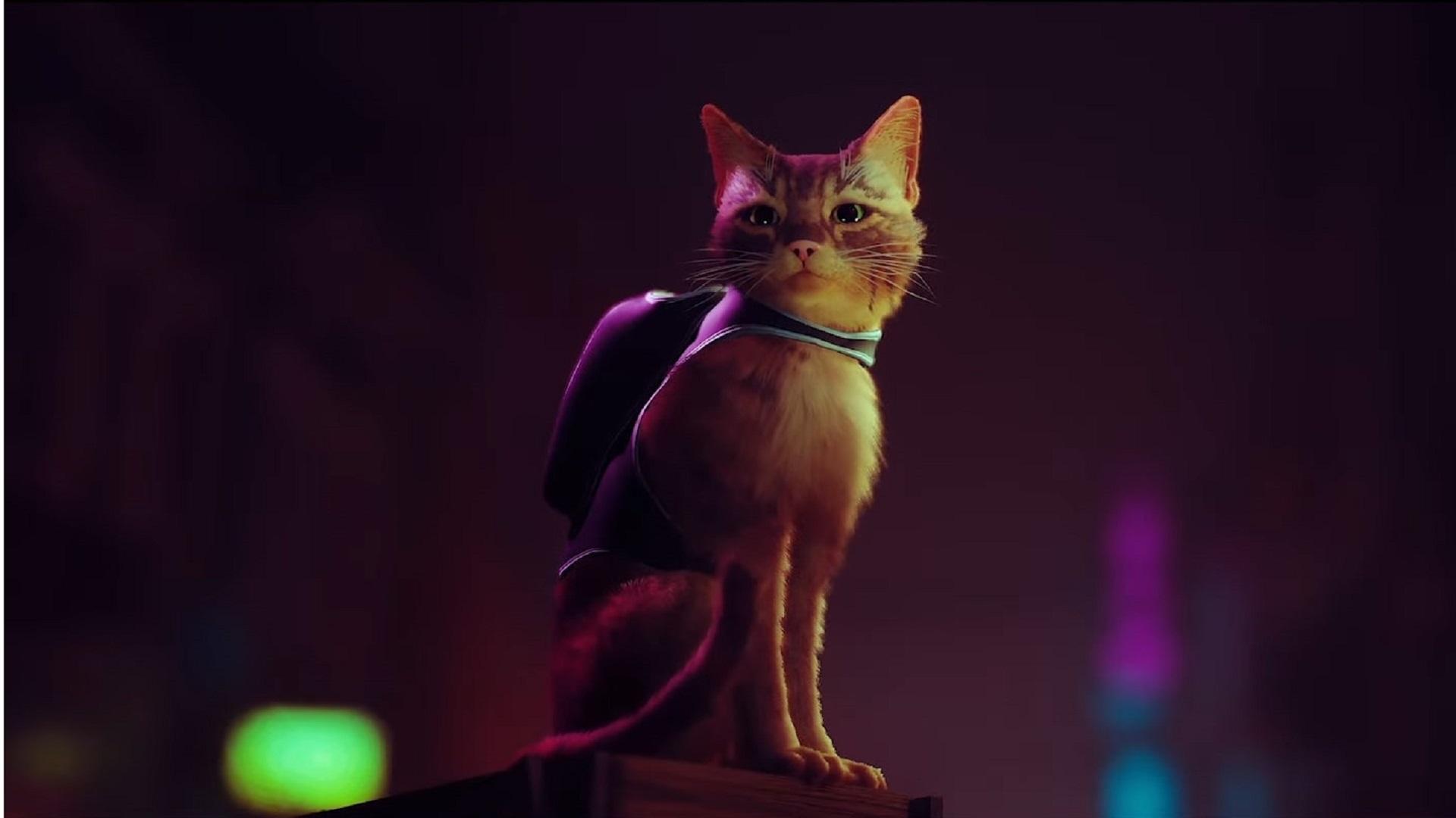 1920x1080 For Indie Cat Game 'Stray' Released At PS5 Event