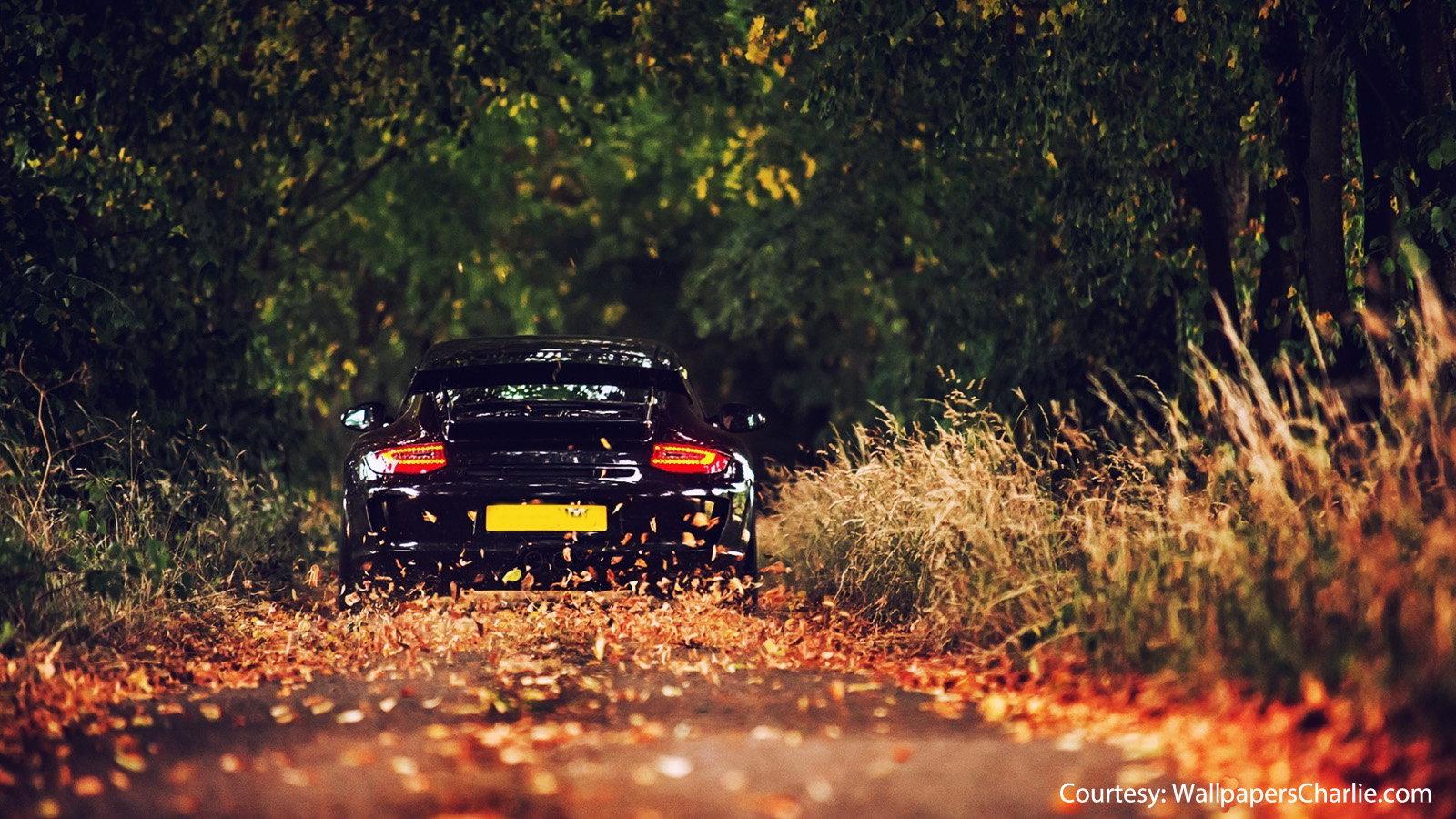 1600x900 Perfect Porsche Wallpaper for Autumn