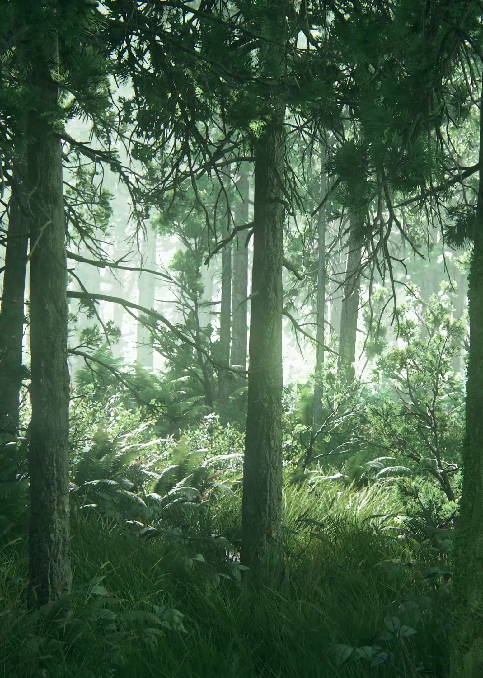 1552x2178 HD wallpaper green tree The Last of Us Part II apocalyptic video games iphone 13 pro max wallpaper 4k, Best iPhone Wallpaper and iPhone background : WallpaperUpdate, Best iPhone Wallpaper
