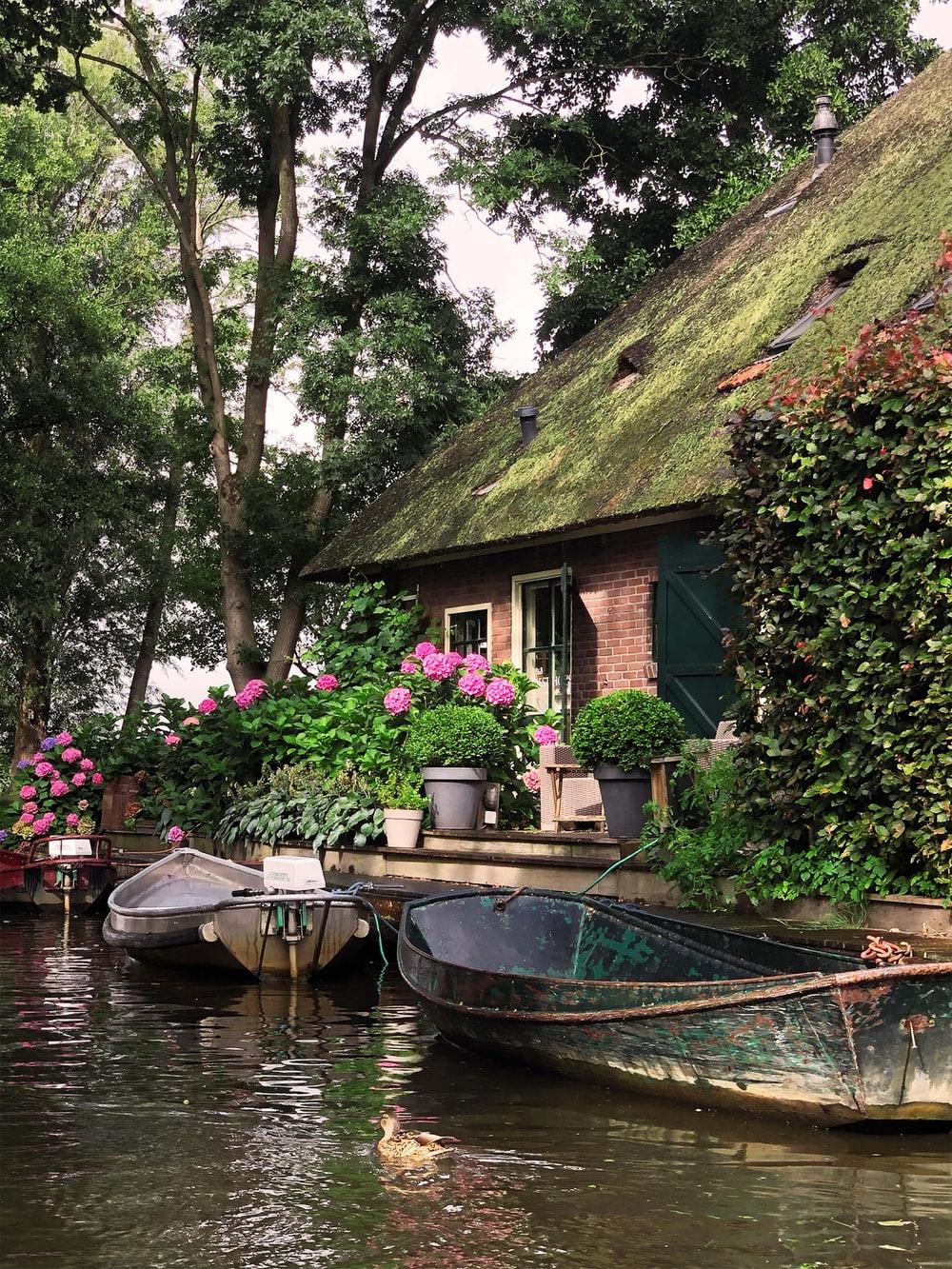 1000x1333 Giethoorn Picture. Download Free Image