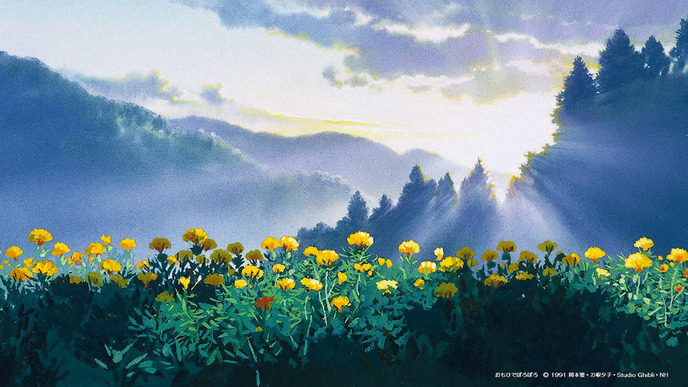 Anime Ghibli Wallpapers - Top Free Anime Ghibli Backgrounds ...