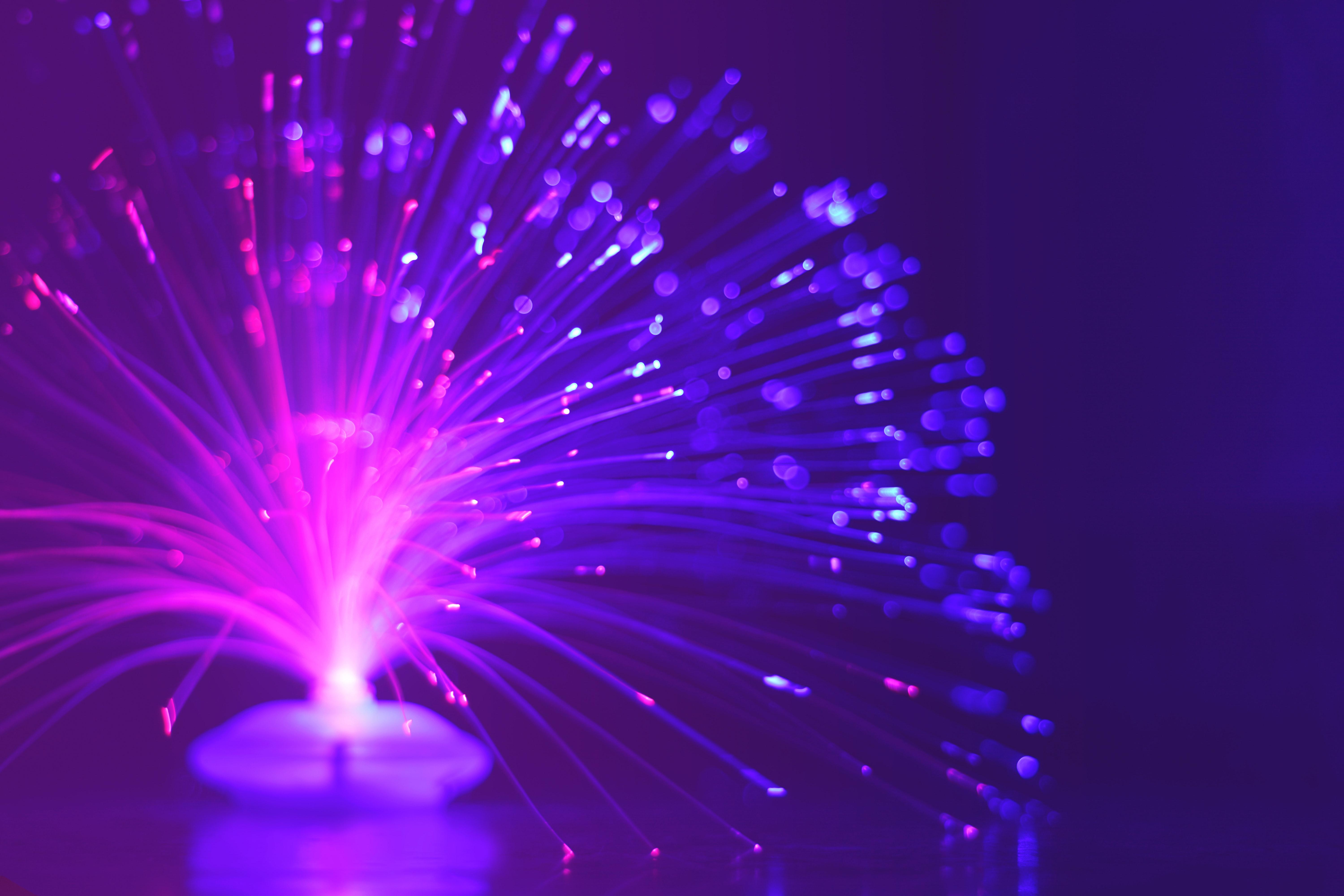 6000x4000 Best Free Purple & Image · 100% Royalty Free HD Downloads