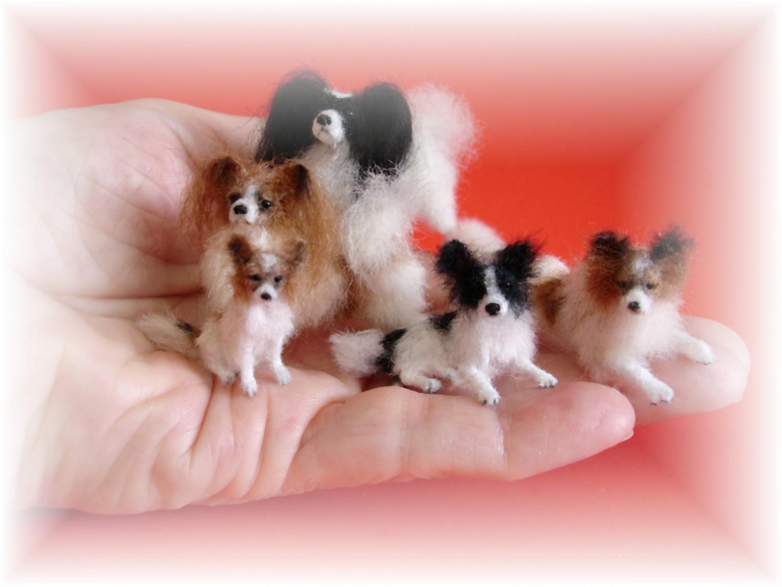 1600x1200 Free download Papillon Dog Wallpaper 1 Cool Wallpaper [1600x1200] for your Desktop, Mobile & Tablet. Explore Papillon Wallpaper. Papillon Wallpaper