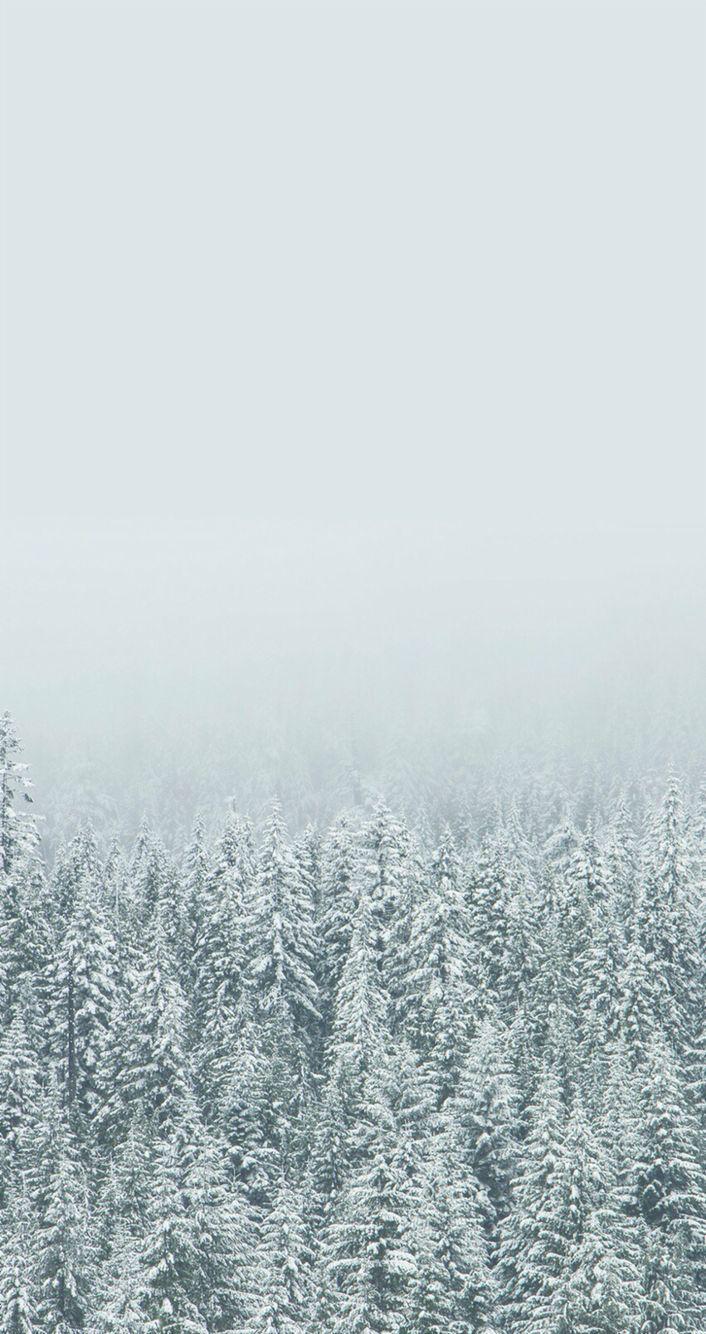 706x1334 iPhone wallpaper winter