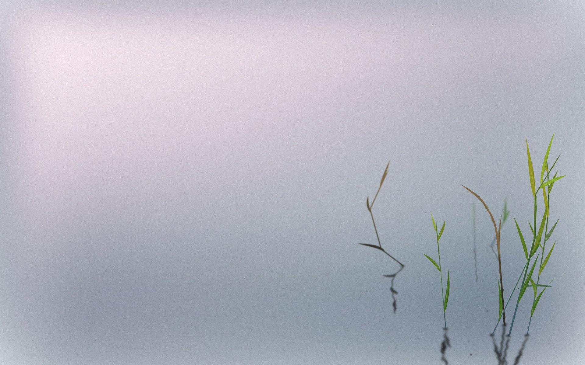 1920x1200 Zen Wallpaper