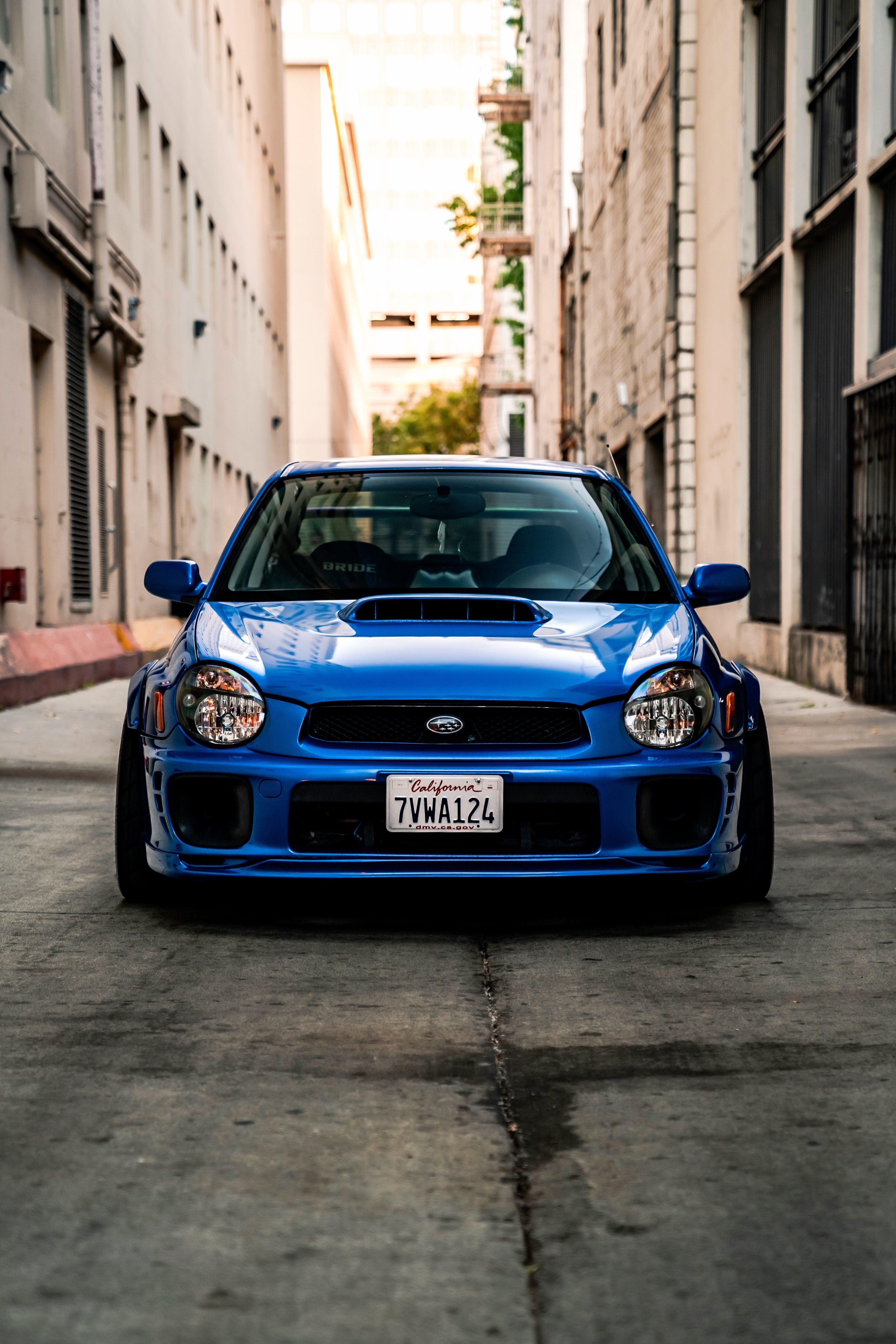 Bugeye Wallpapers - Top Free Bugeye Backgrounds - WallpaperAccess