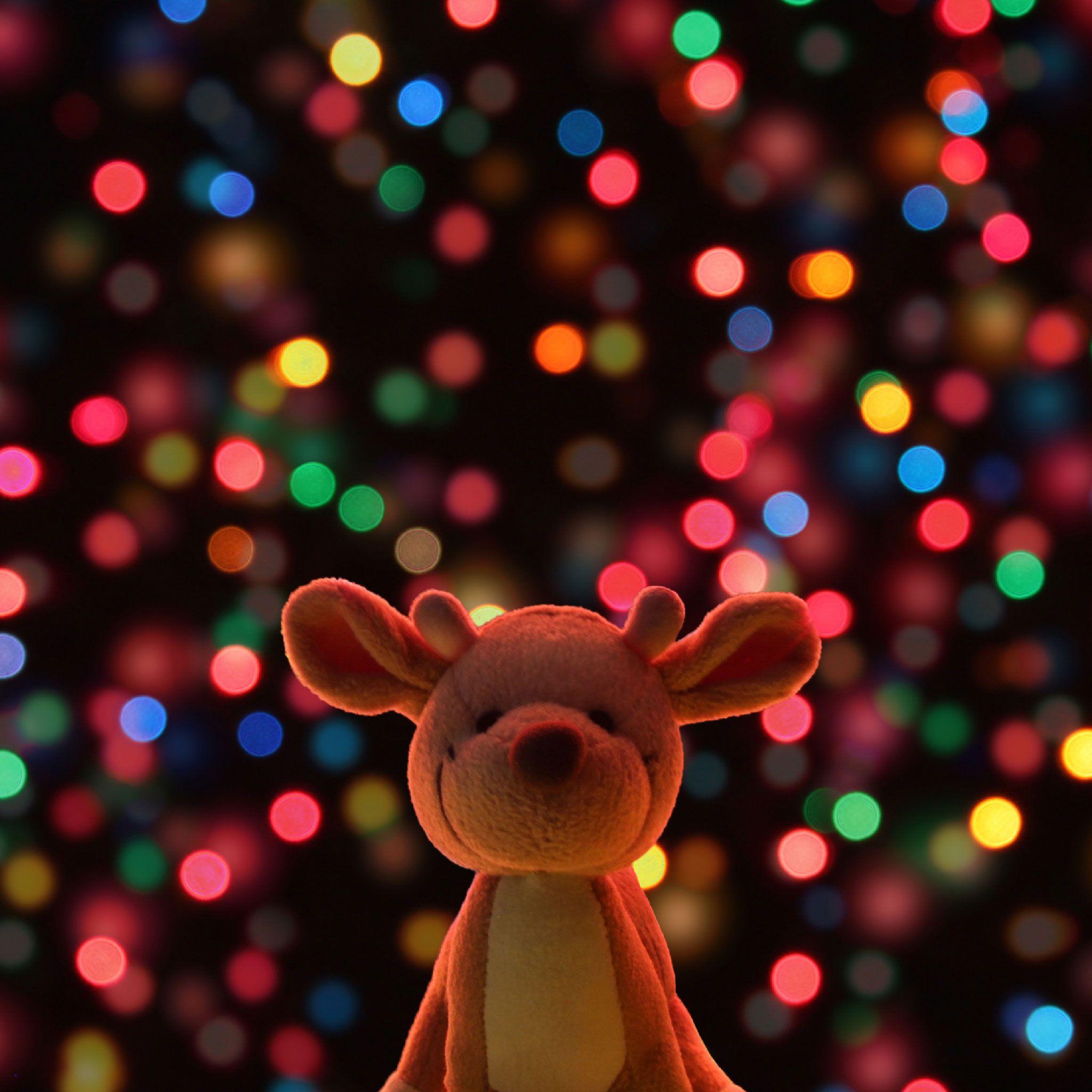 2048x2048 Elf Blog Events, Charity Info, Raymond the Reindeer's