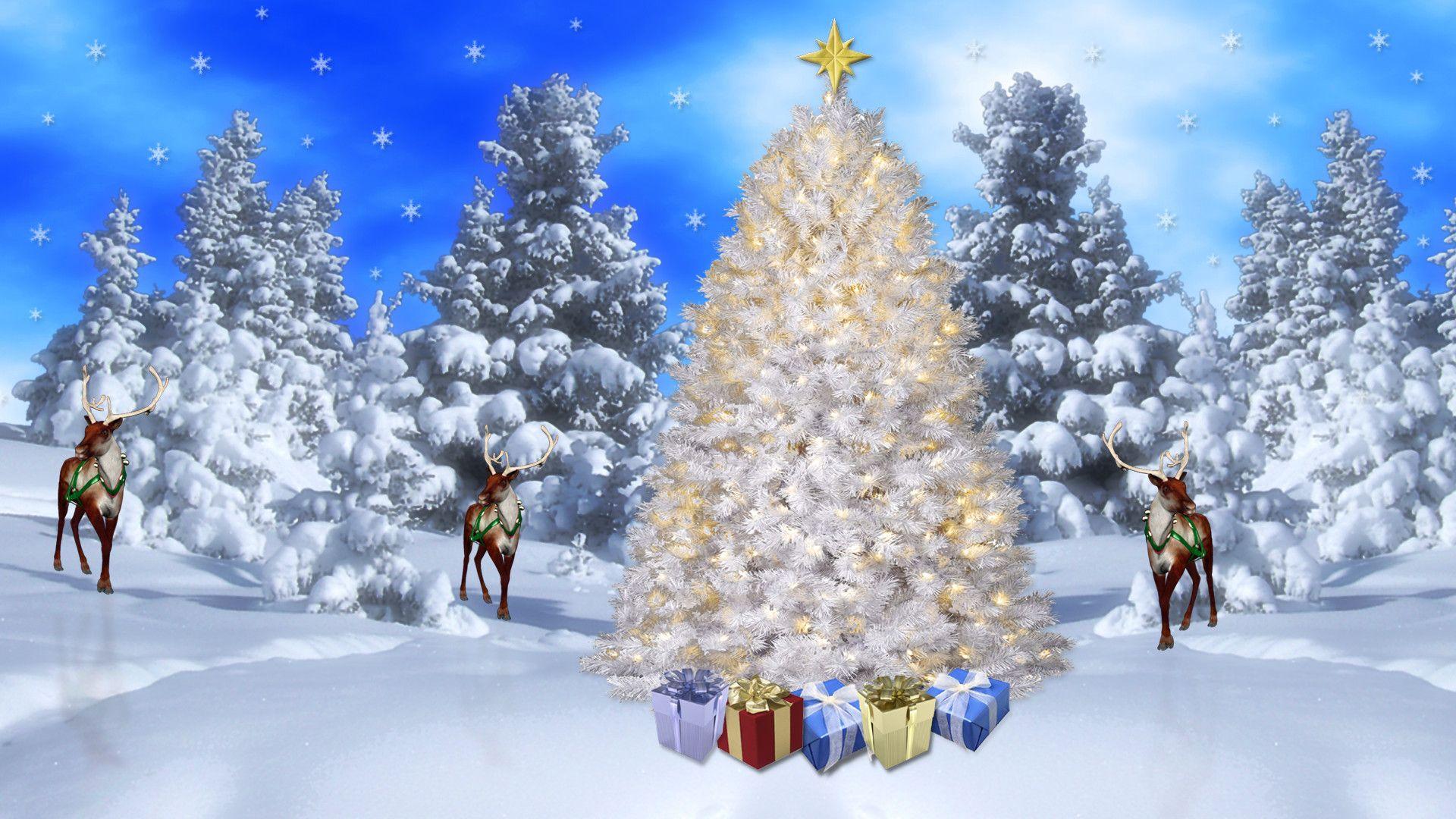 North Pole Christmas Wallpapers Top Free North Pole