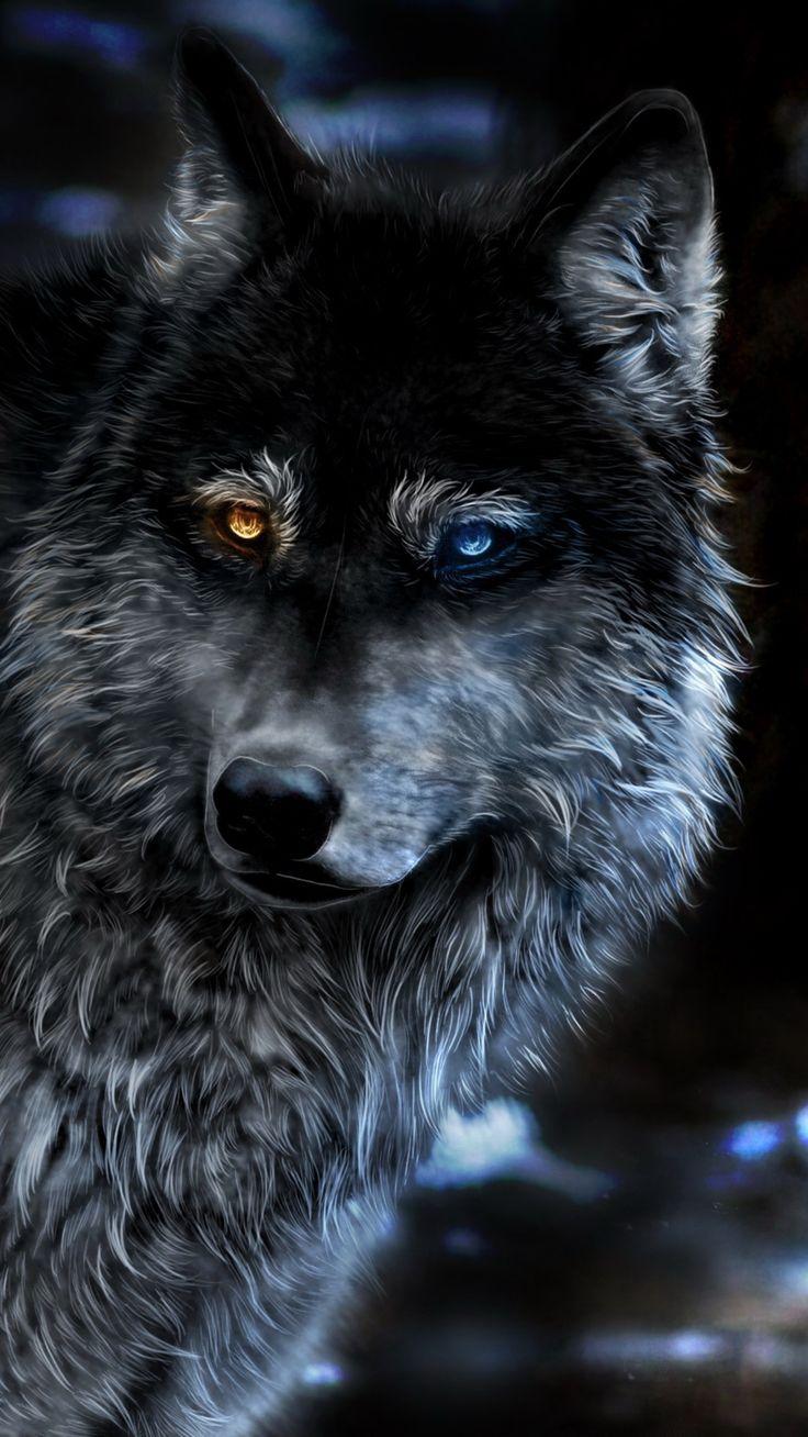 736x1308 Wolf Heterochromia Fantasy In 1080x1920 Resolution. Wolf picture, Wolf dog, Wolf image