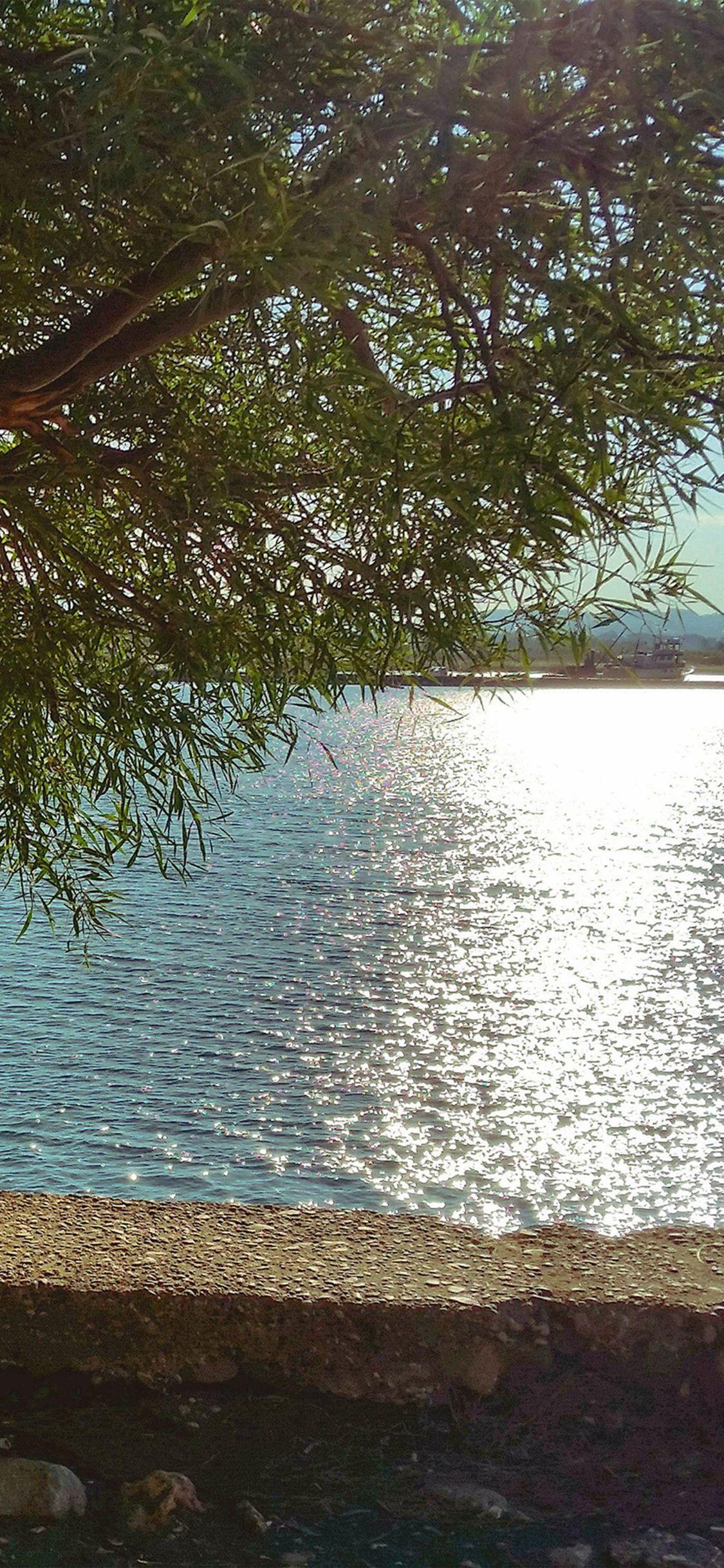 1125x2436 Summer Lake View Tree Sunshine Nature #iPhone #X #wallpaper. iPhone
