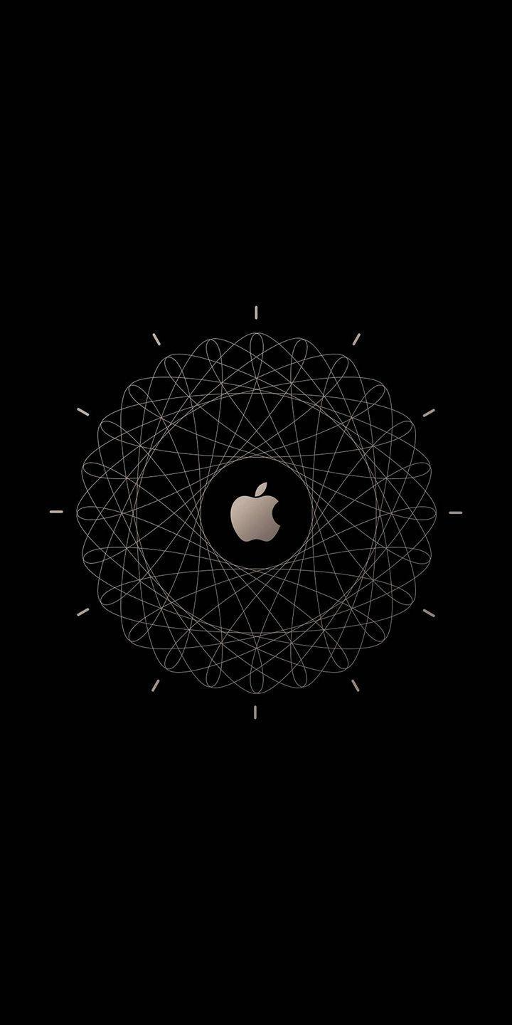 720x1440 Appolinaire sent you a Pin!