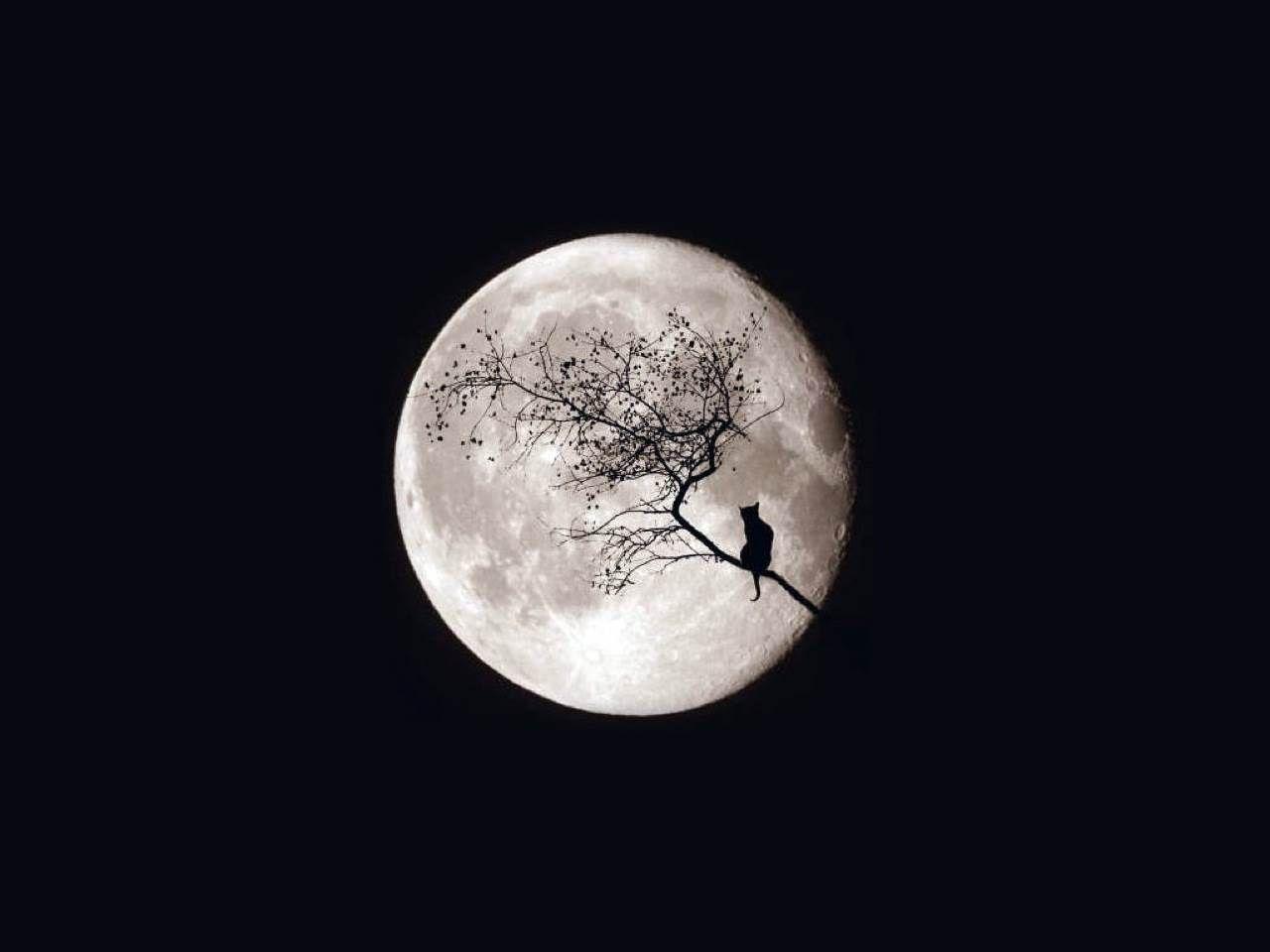 1280x960 Full Moon HD Desktop Wallpaper