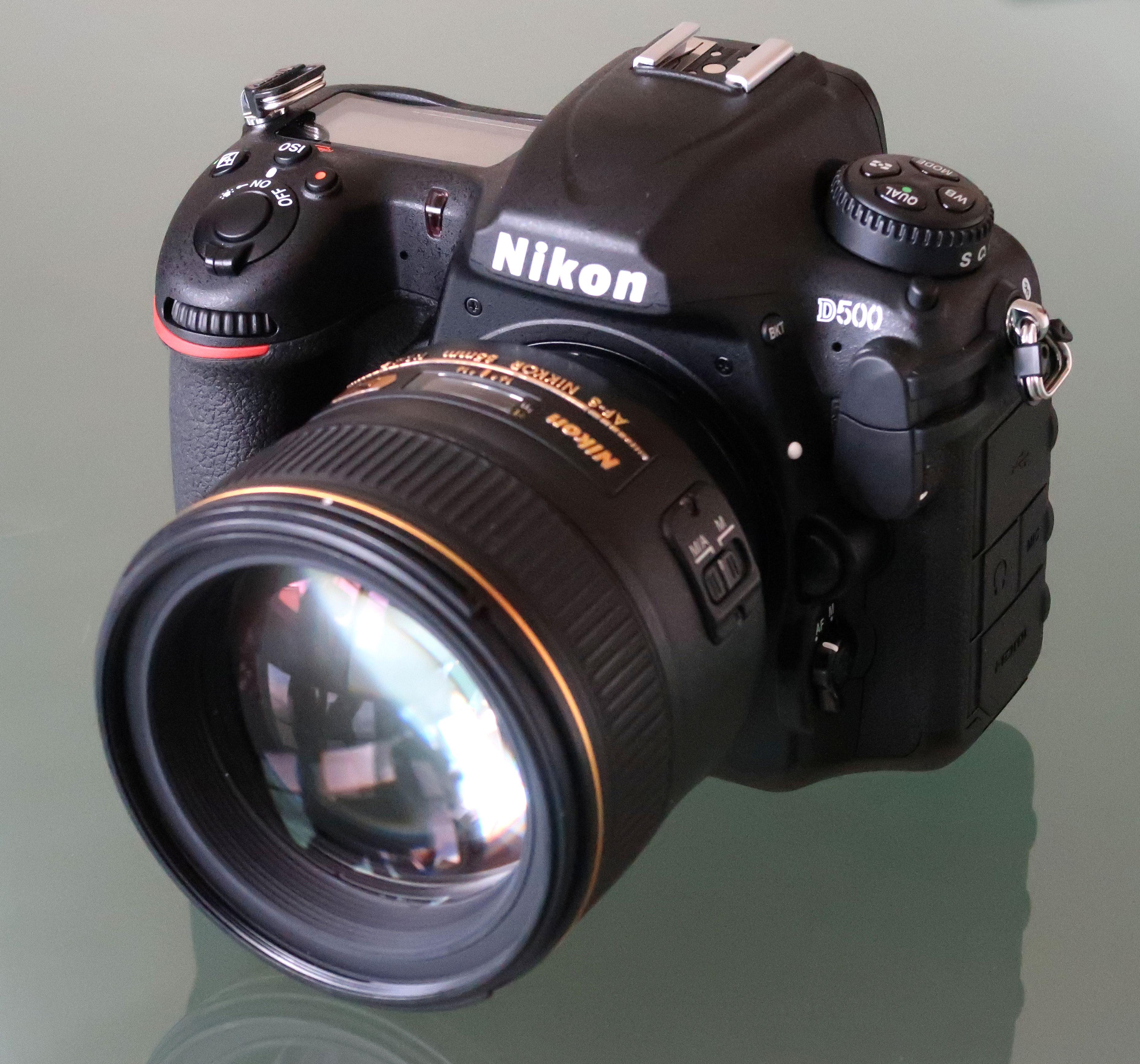 3726x3478 Nikon D500 Full Size Sample Photo