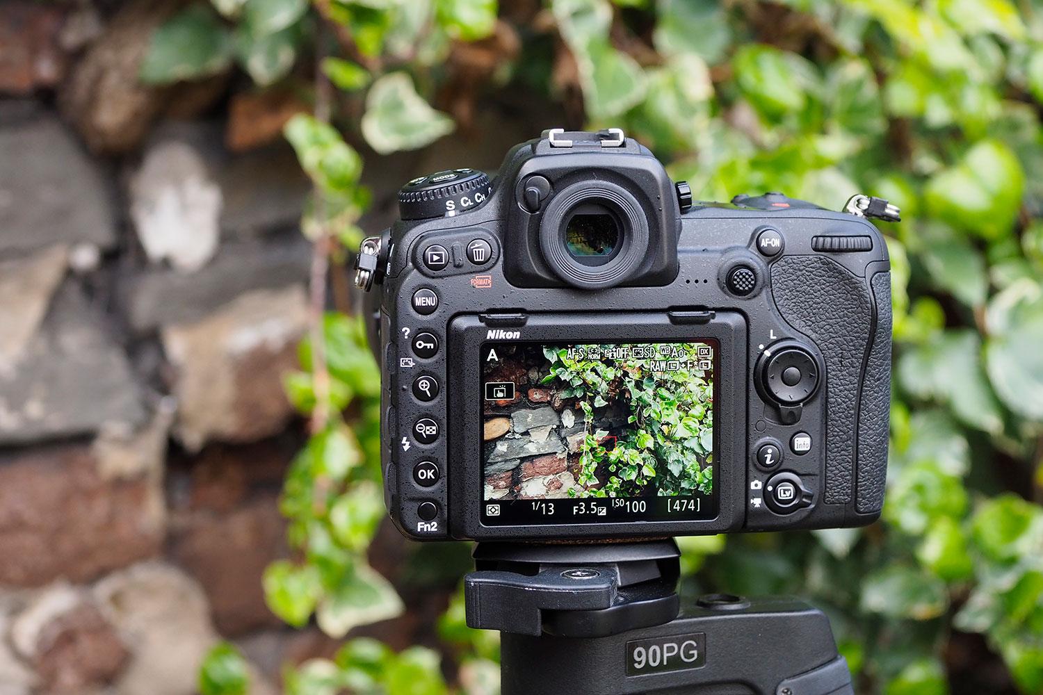 1500x1000 Hire a Camera Things to Try With The Nikon D500