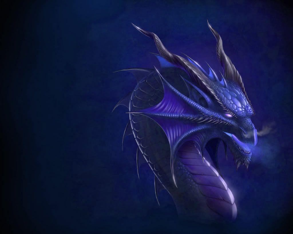 1024x819 Dragon Picture Wallpaper