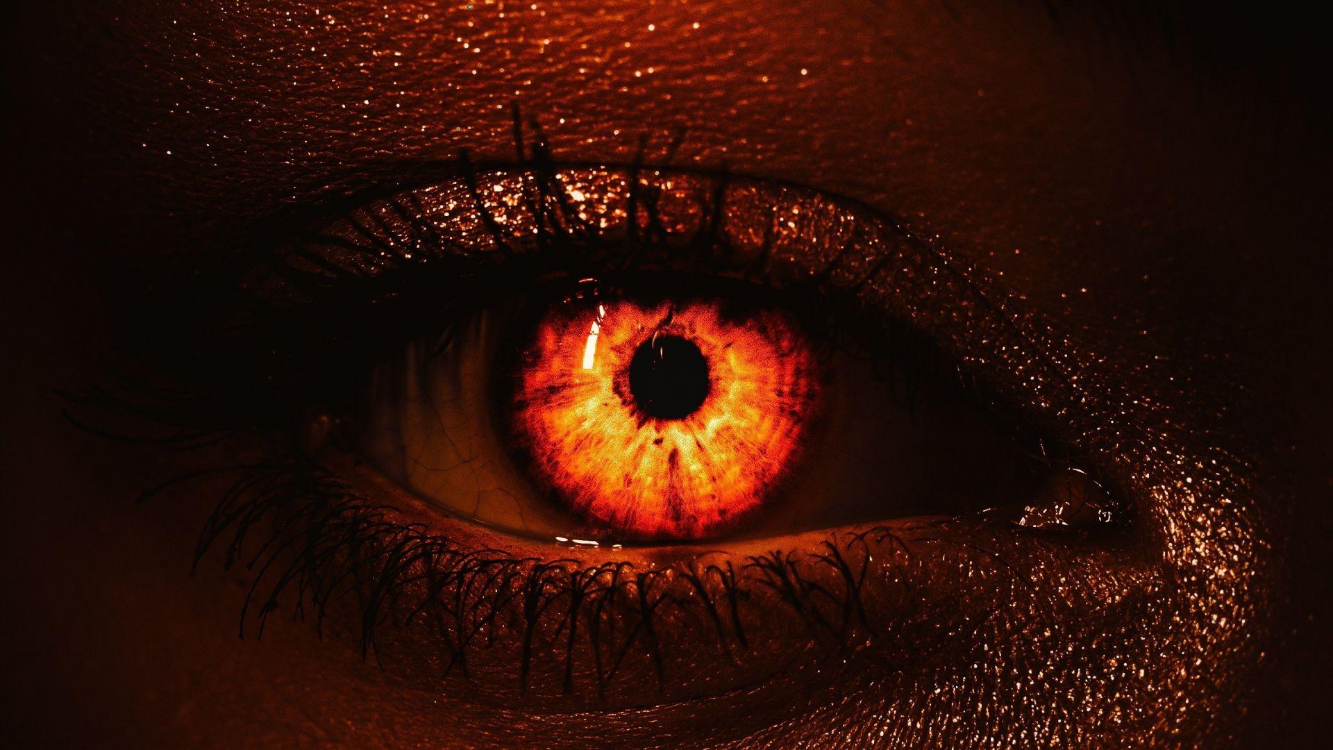 Eyes in the Dark Wallpapers Top Free Eyes in the Dark Backgrounds