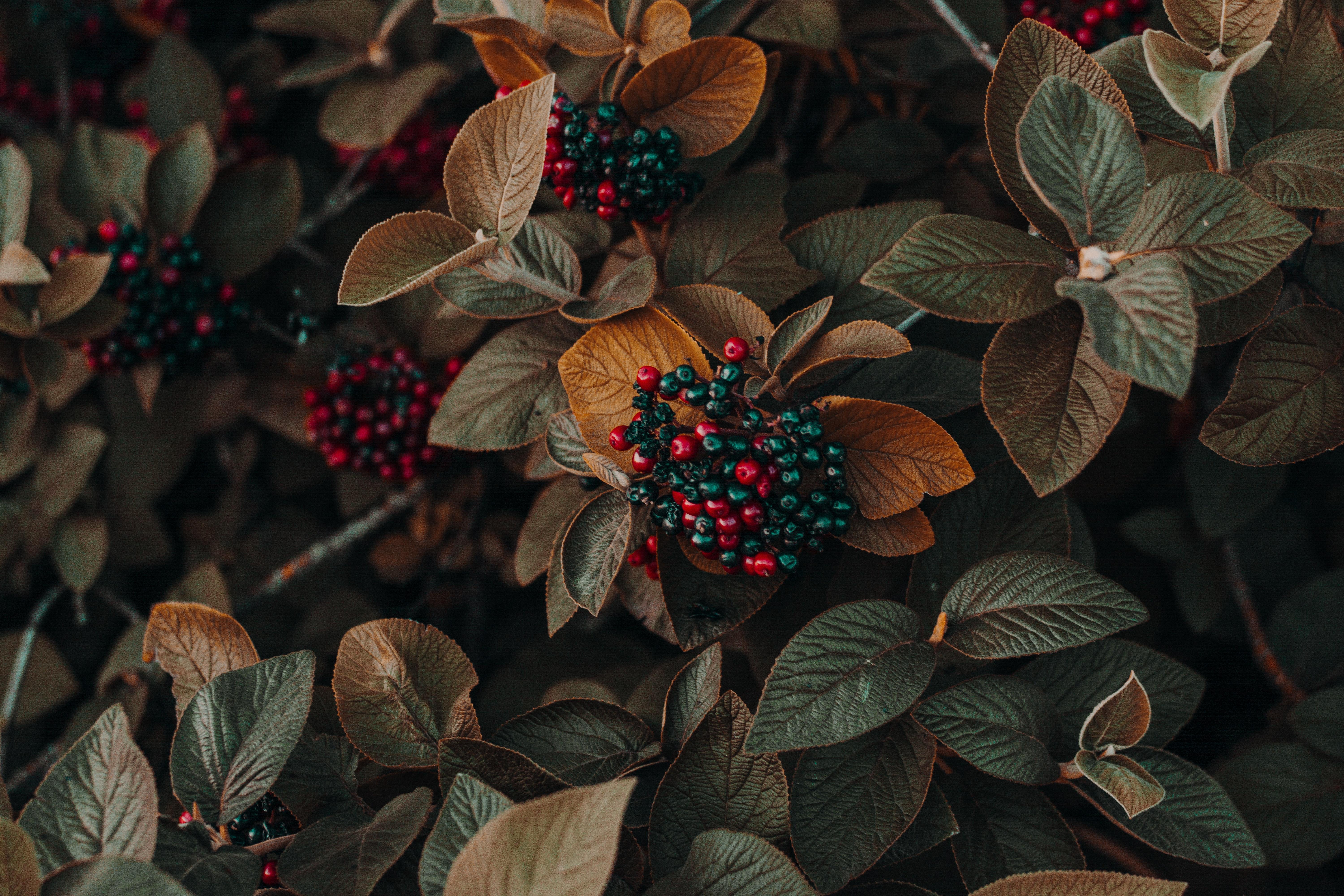 6000x4000 Full HD Wallpaper Photo, Download The BEST Free Full HD Wallpaper & HD Image