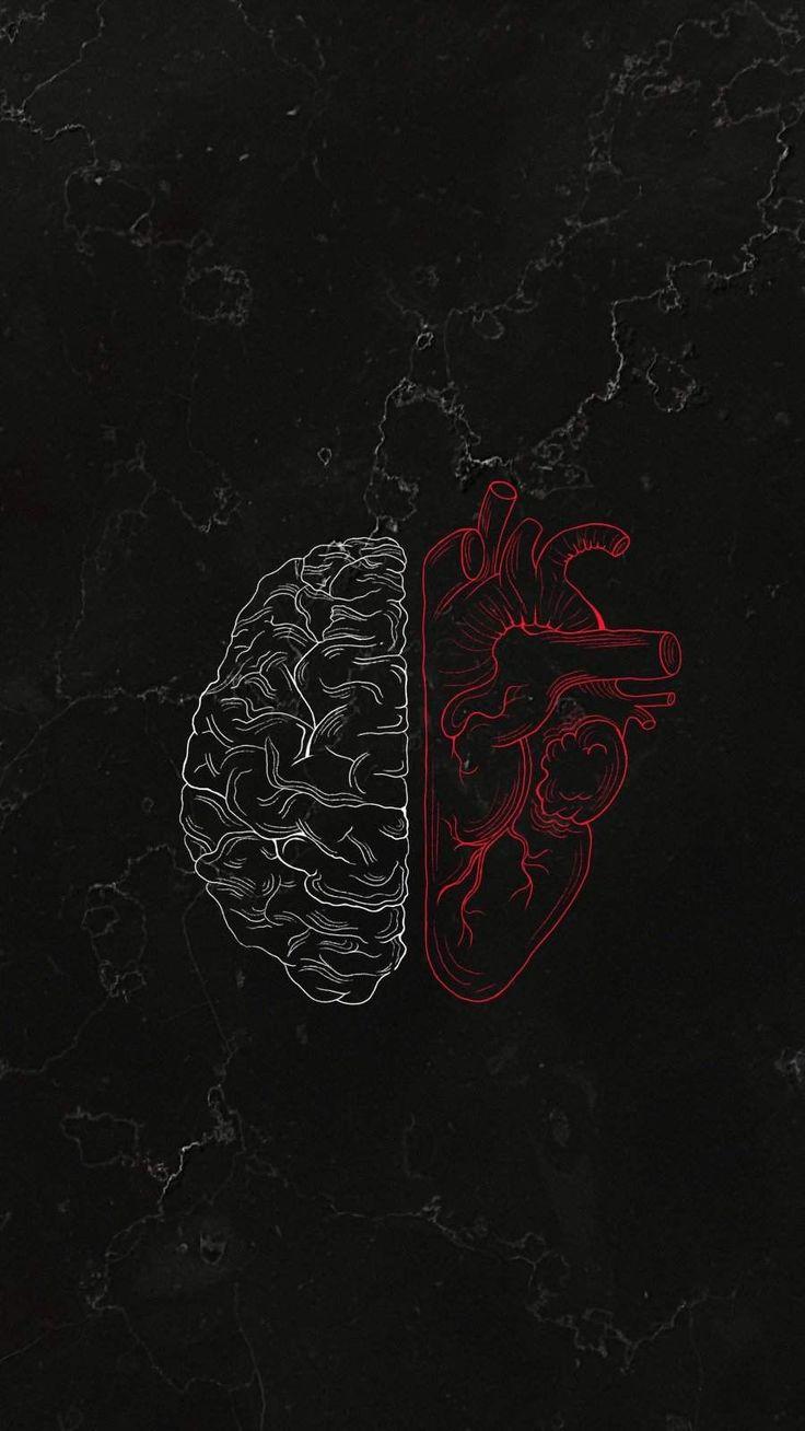 736x1308 iPhone Wallpaper - For iPhone iPhone 11 And iPhone X : iPhone Wal B49