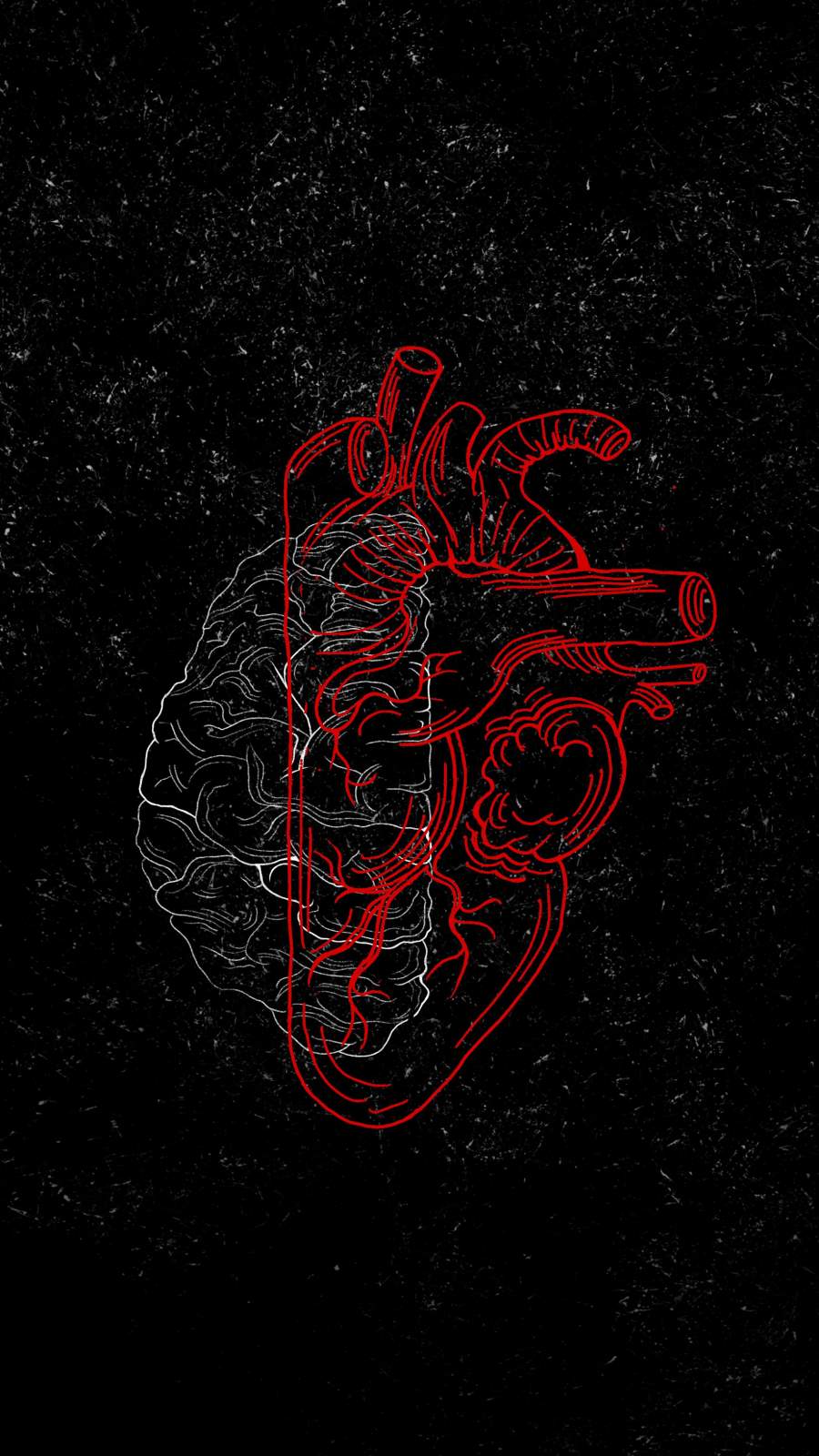 900x1600 Brain Vs Heart Art Wallpaper : iPhone Wallpaper