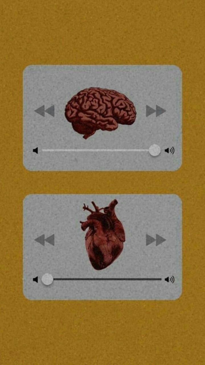 720x1280 Image about heart in wallpaper