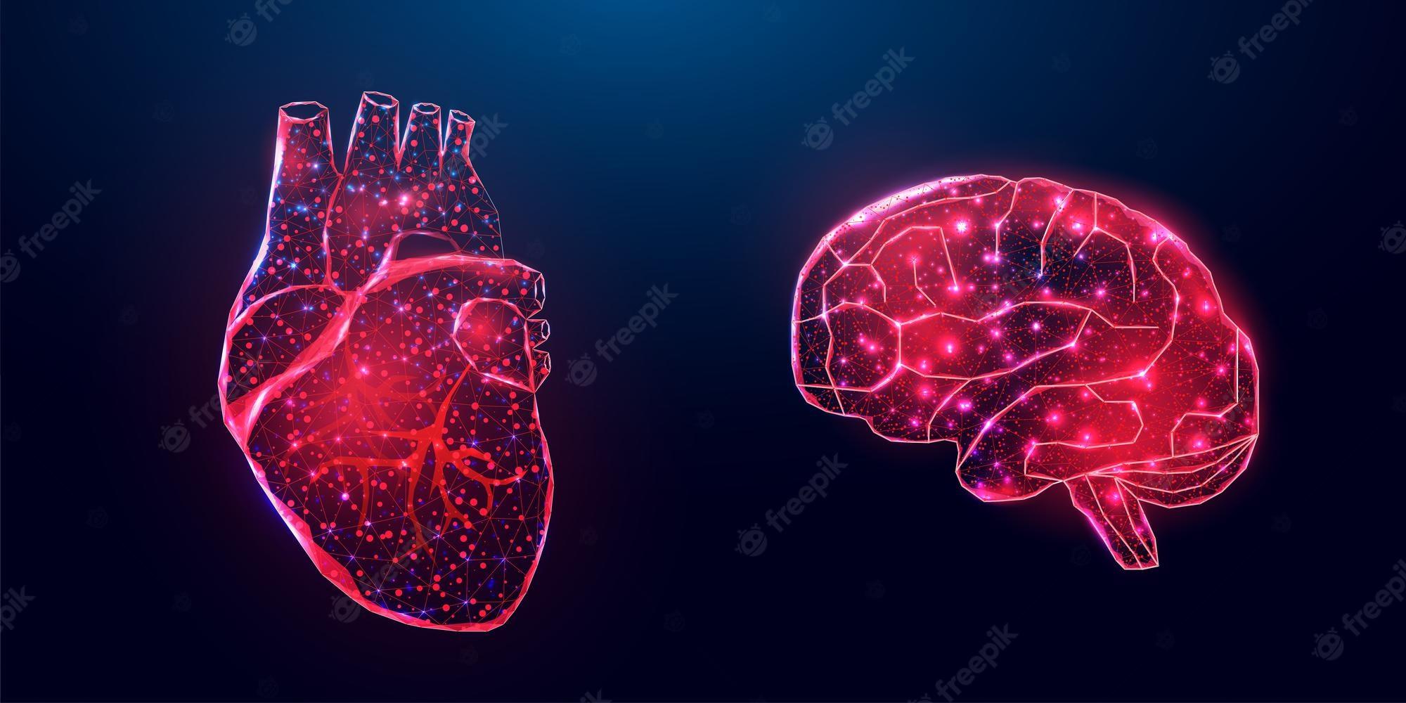 2000x1000 Premium Vector. Human heart and brain. wireframe low poly style. abstract modern 3D vector illustration on dark blue background