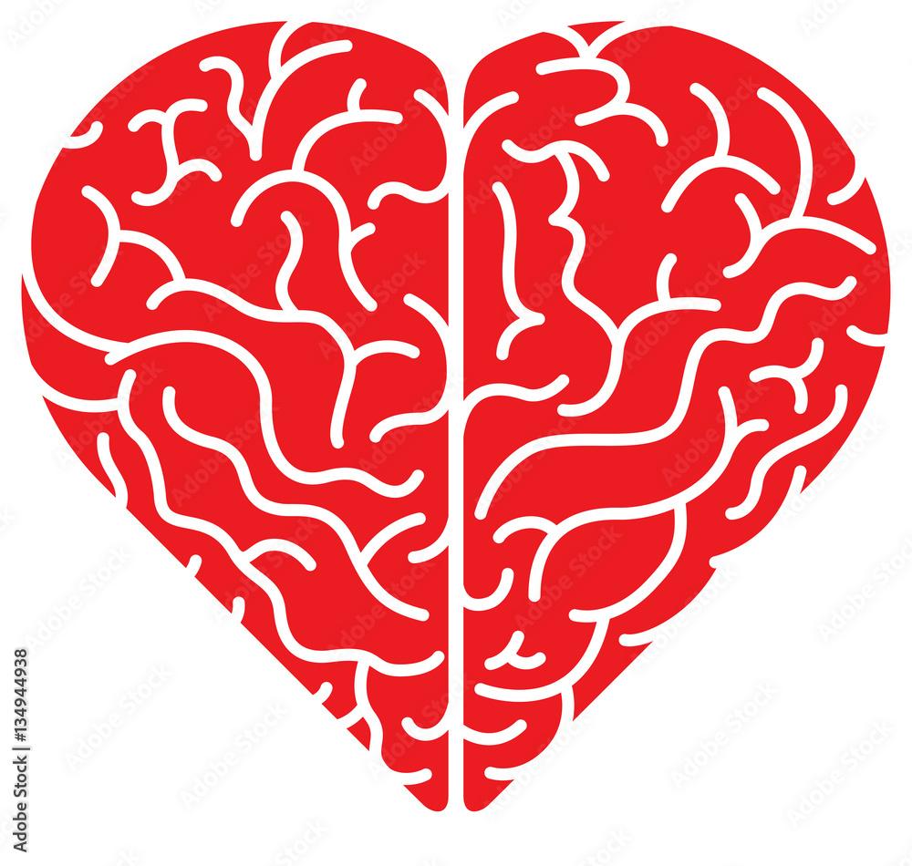 1000x950 Top view of a brain in the form of a red cartoon heart showing its two sides, its convolutions and the complexity of its anatomy. Flat colors, minimalist design Stock Illustration