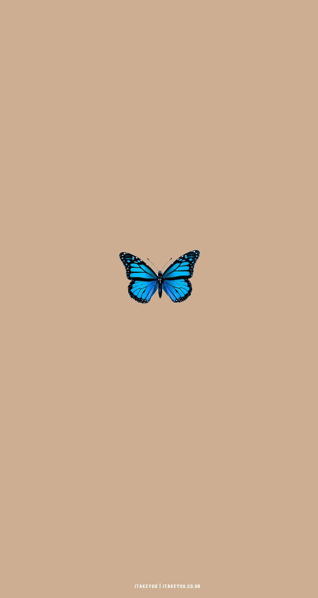 1020x1915 Cute Brown Aesthetic Wallpaper for Phone : Blue Butterfly I Take You. Wedding Readings. Wedding Ideas