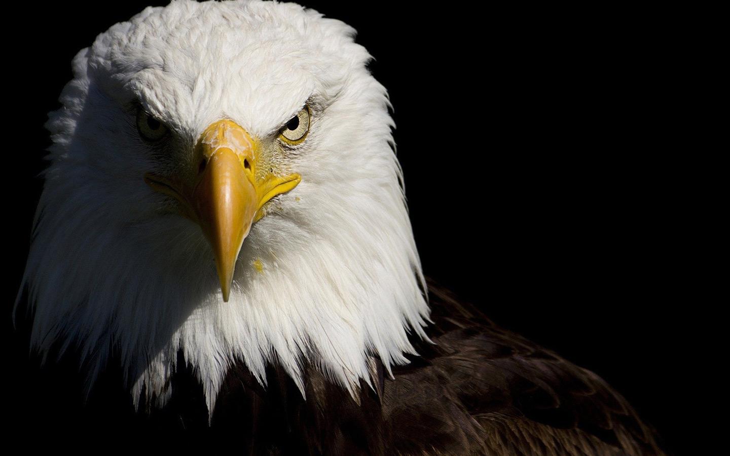 1440x900 Native American Wallpaper