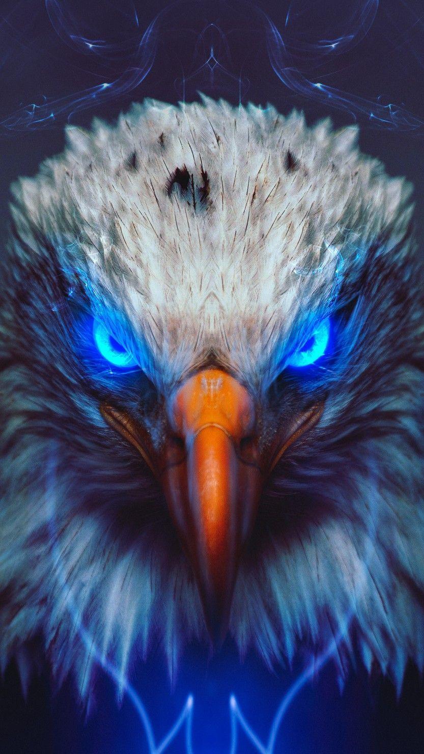 833x1481 Eagle Wallpaper
