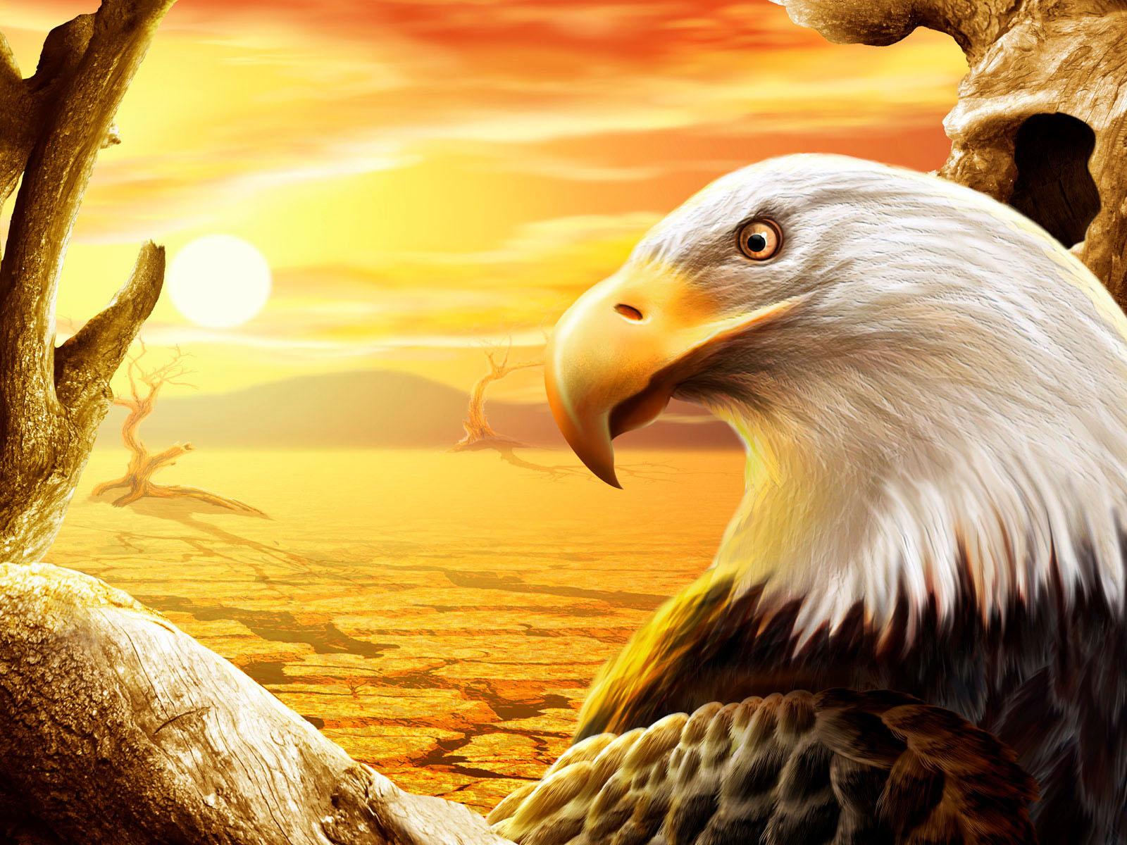 1600x1200 Eagle Wallpaper
