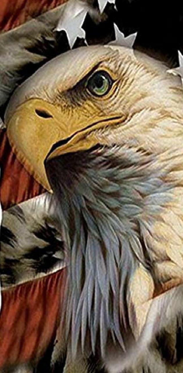 630x1280 Eagle eye wallpaper