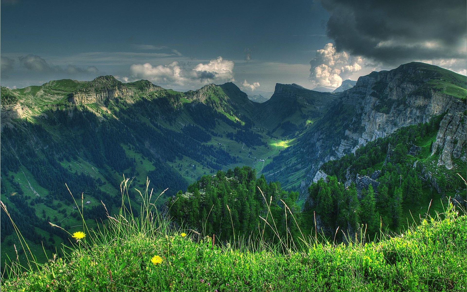 1920x1200 Download wallpaper mountain valley, Alps, Switzerland, mountain landscape, green slopes, forest for desktop with resolution 1920x1200. High Quality HD picture wallpaper