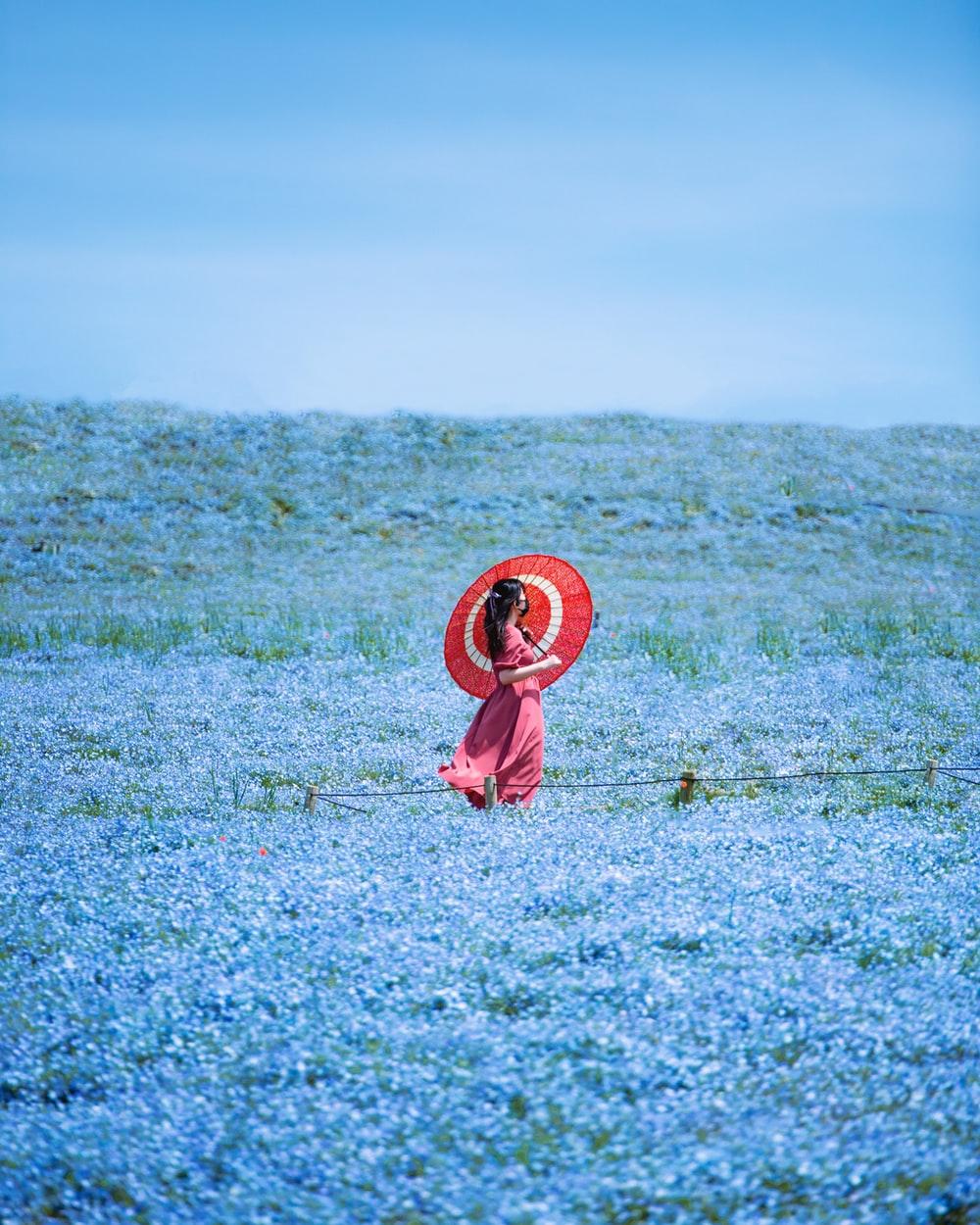 1000x1250 Hitachi Seaside Park Picture. Download Free Image