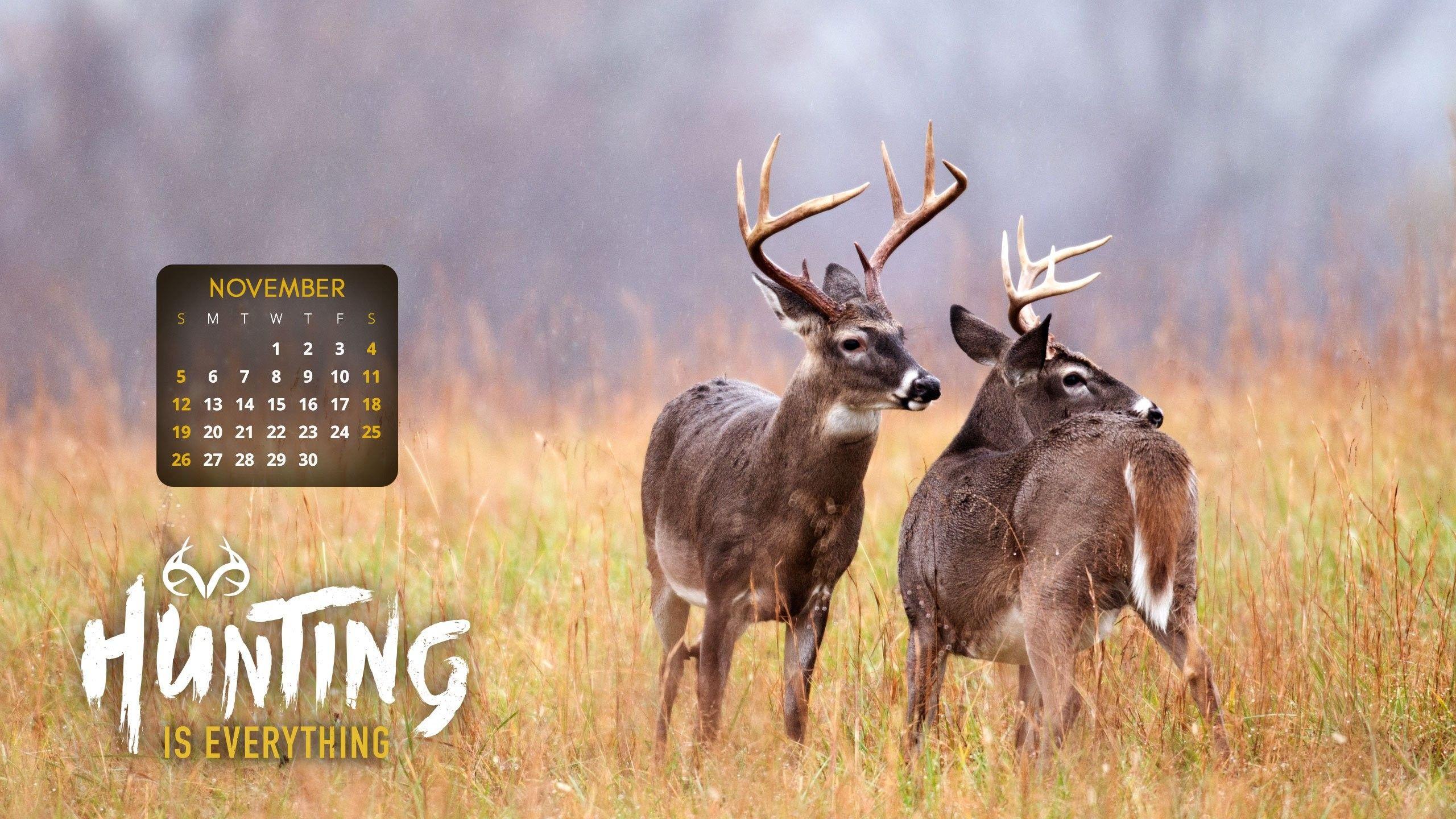 2560x1440 Deer Hunting Desktop Wallpaper