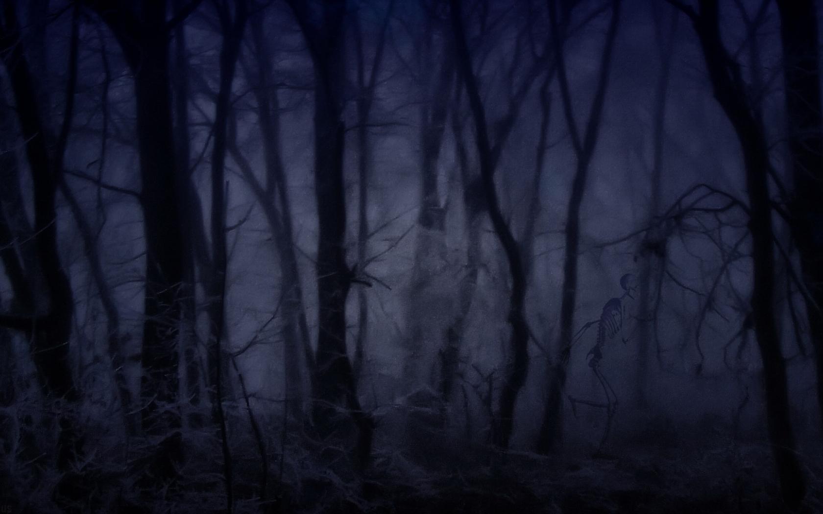 Scary Fog Wallpapers - Top Free Scary Fog Backgrounds - WallpaperAccess