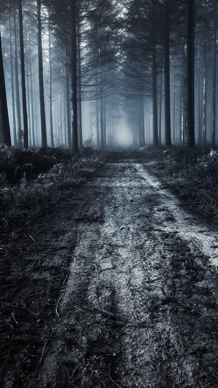 Scary Fog Wallpapers - Top Free Scary Fog Backgrounds - WallpaperAccess