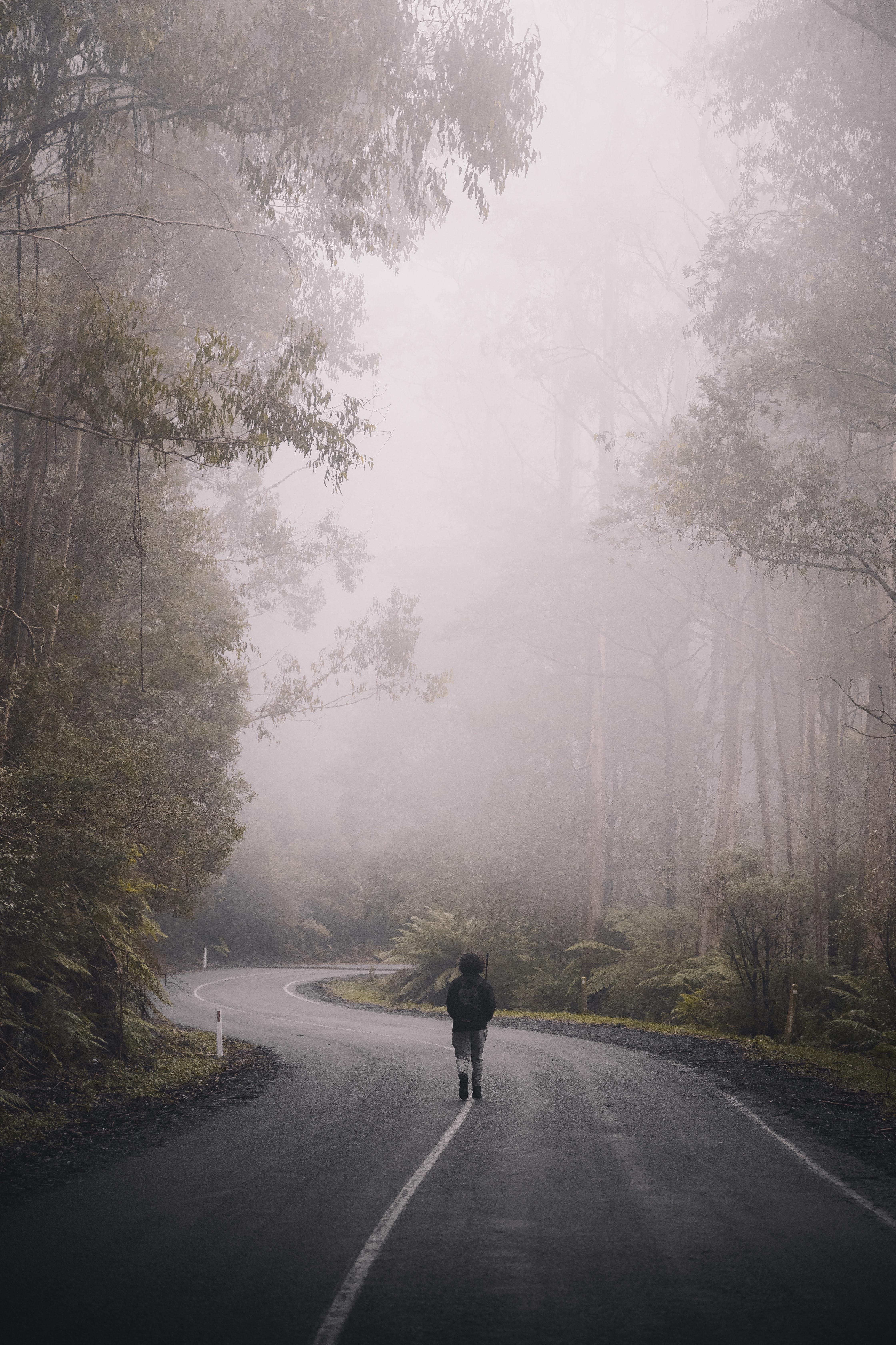 4480x6720 Best Free Fog & Image · 100% Royalty Free HD Downloads