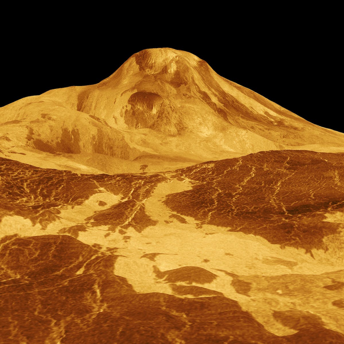1200x1200 Venus calling