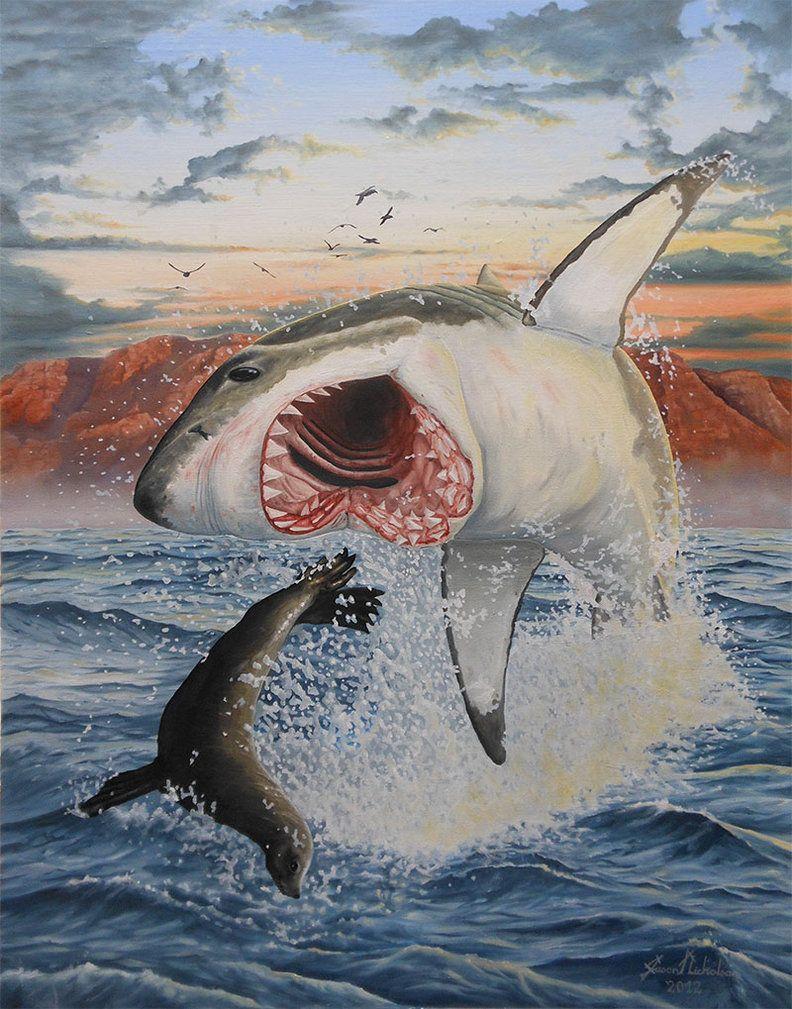 792x1009 Air Jaws South Africa Related Keywords & Suggestions Jaws