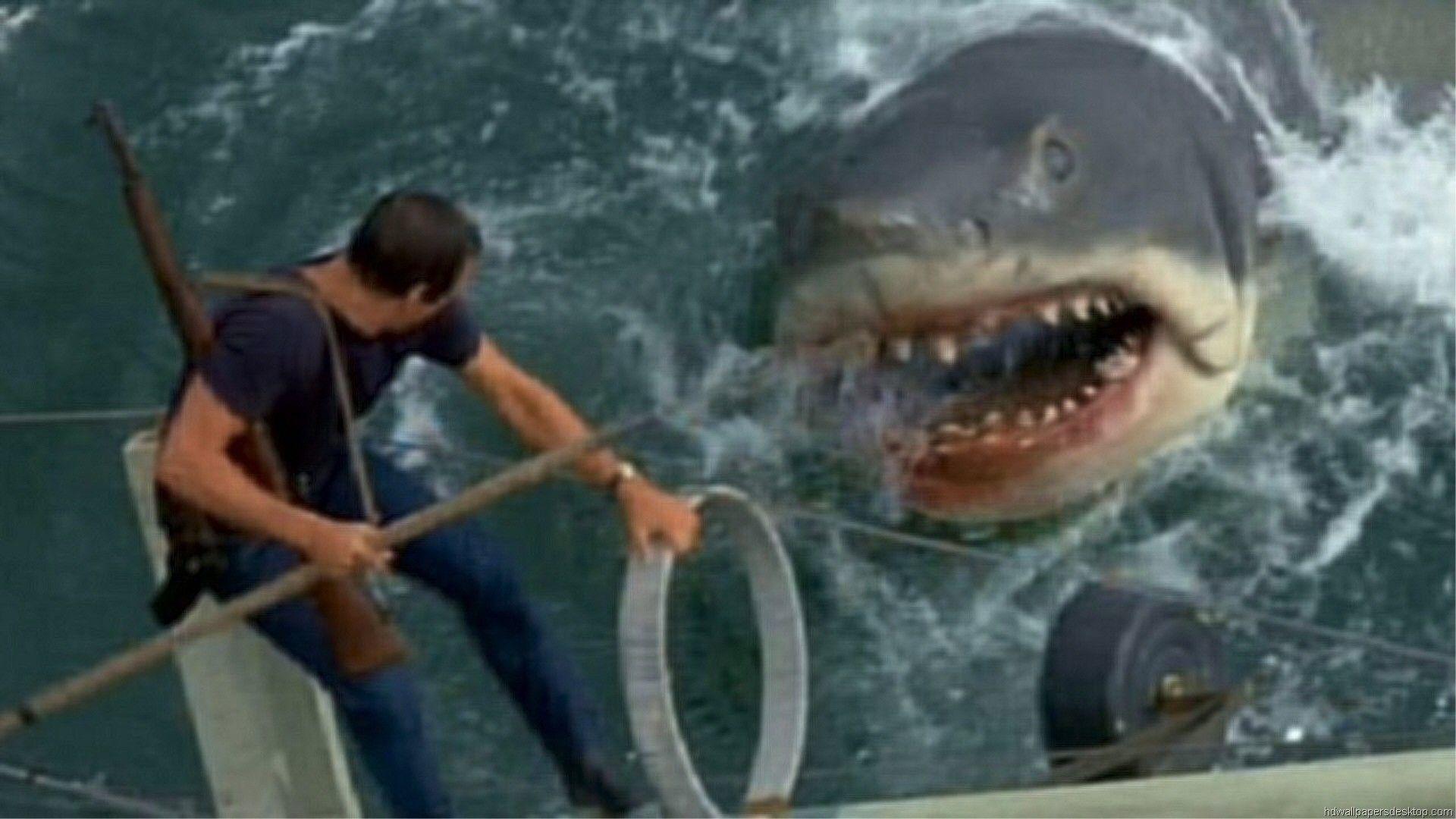Jaws 2