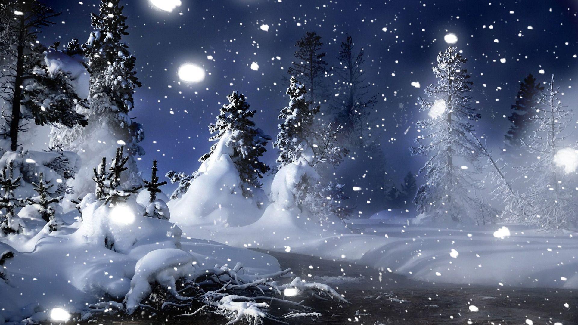 1920x1080 Winter Picture Wallpaper