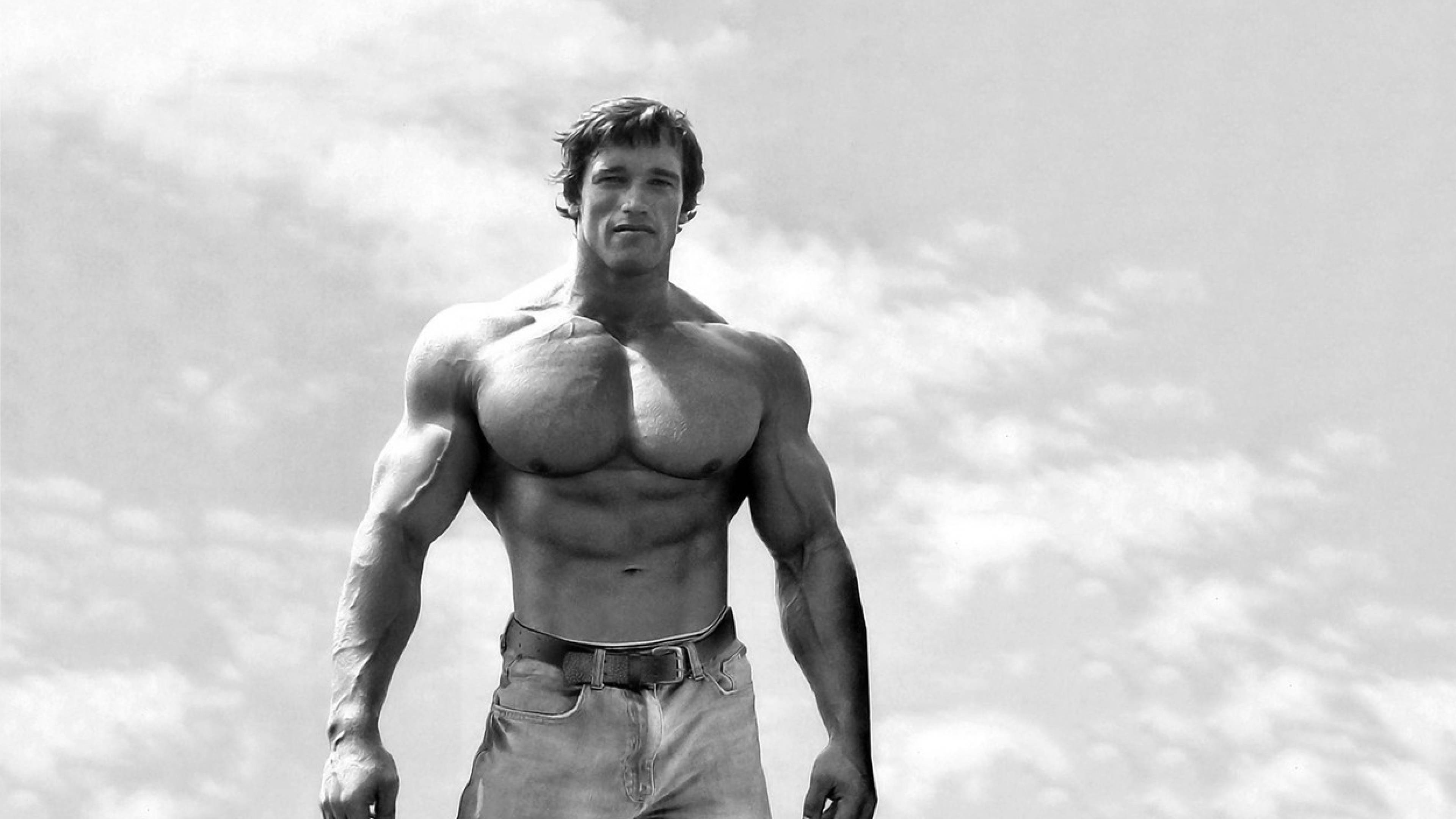 3840x2160 Arnold Schwarzenegger Black And White Wallpaper 4K Wallpaper, HD Celebrities 4K Wallpaper, Image, Photo and Background
