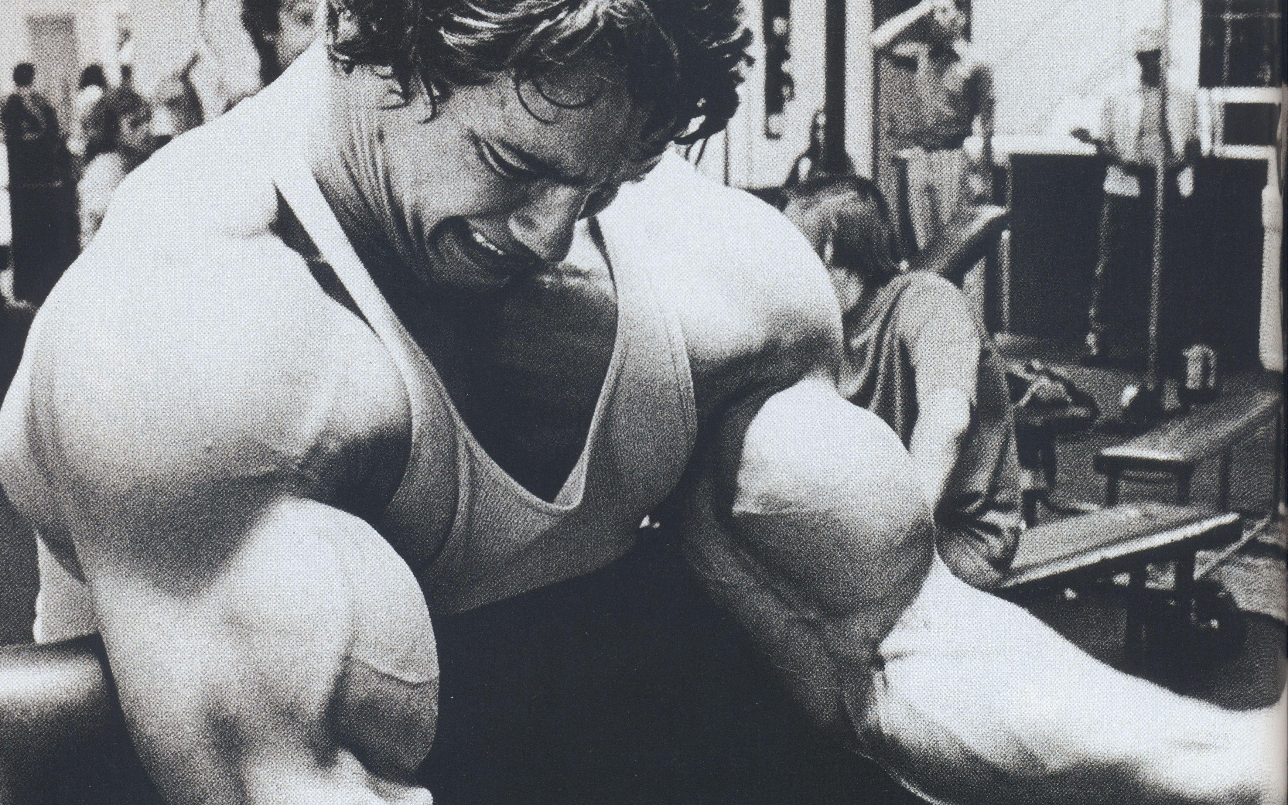 4241x2651 4K Arnold Schwarzenegger Wallpaper and Background Image