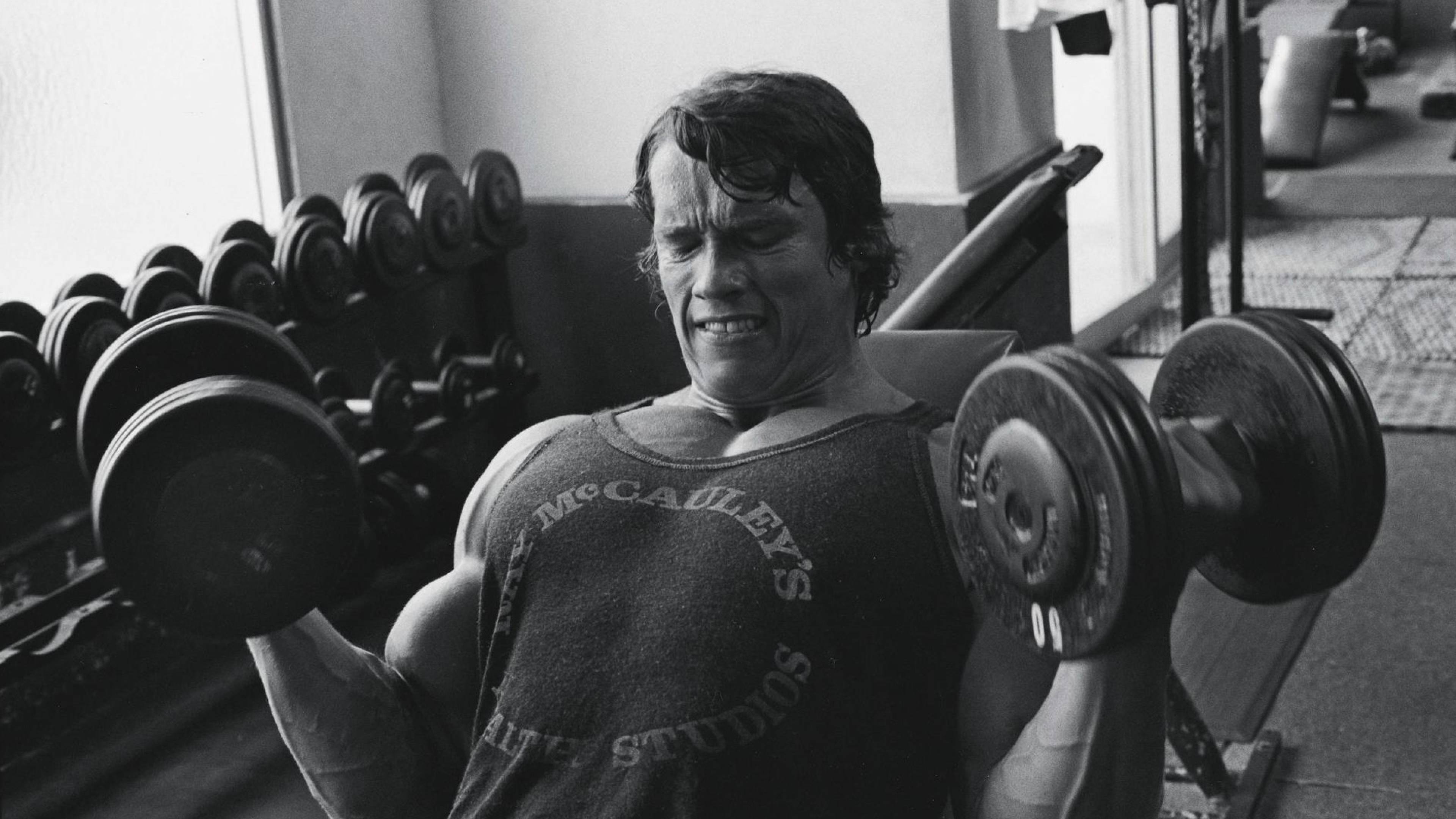 3840x2160 Arnold Schwarzenegger In Gym Photo 4K Wallpaper, HD Celebrities 4K Wallpaper, Image, Photo and Background