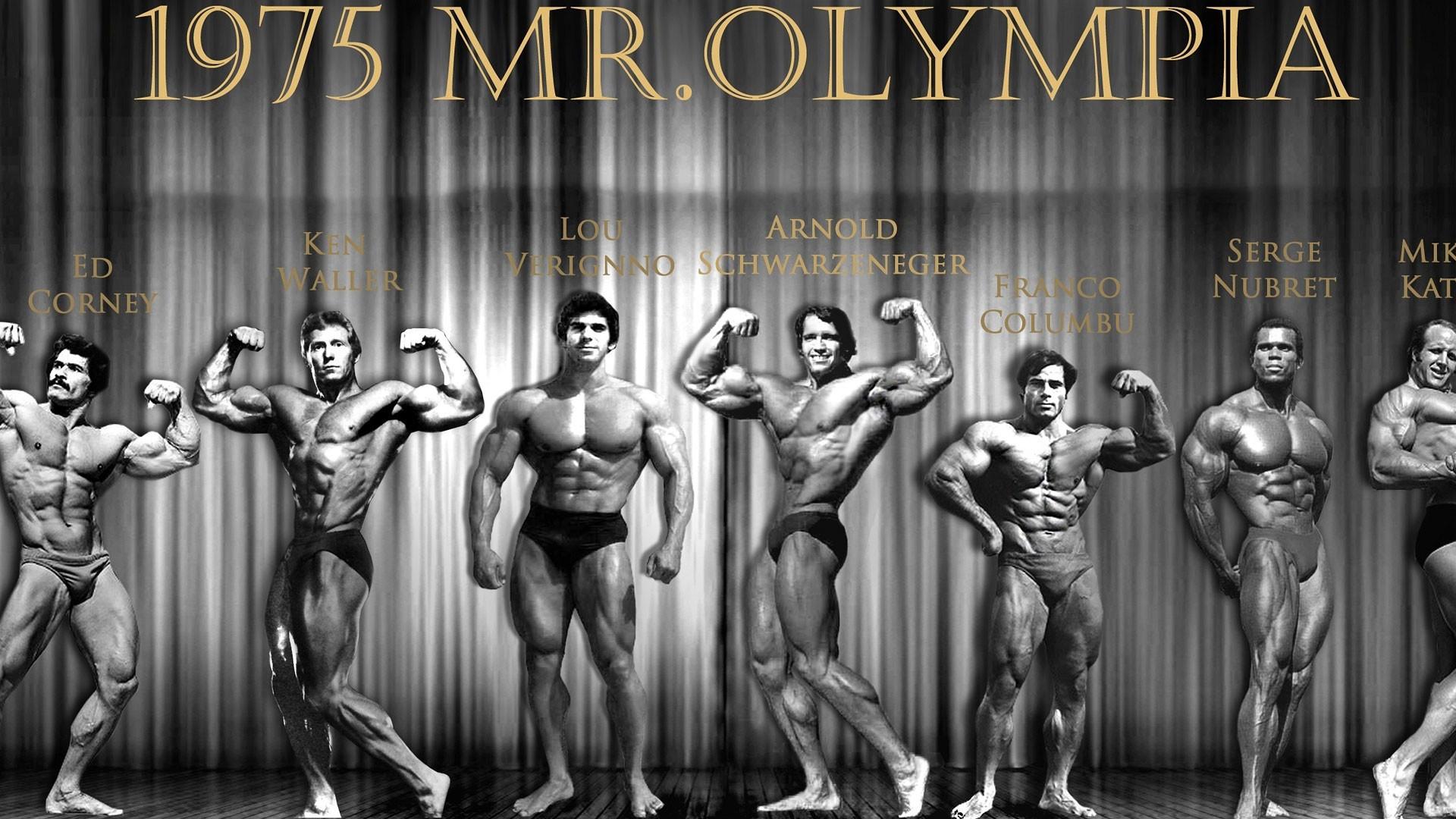 1920x1080 Arnold Wallpaper