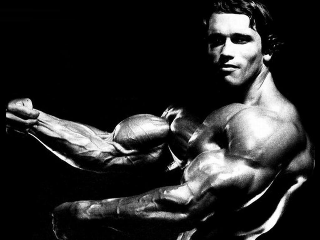 1024x768 Arnold Schwarzenegger Wallpaper
